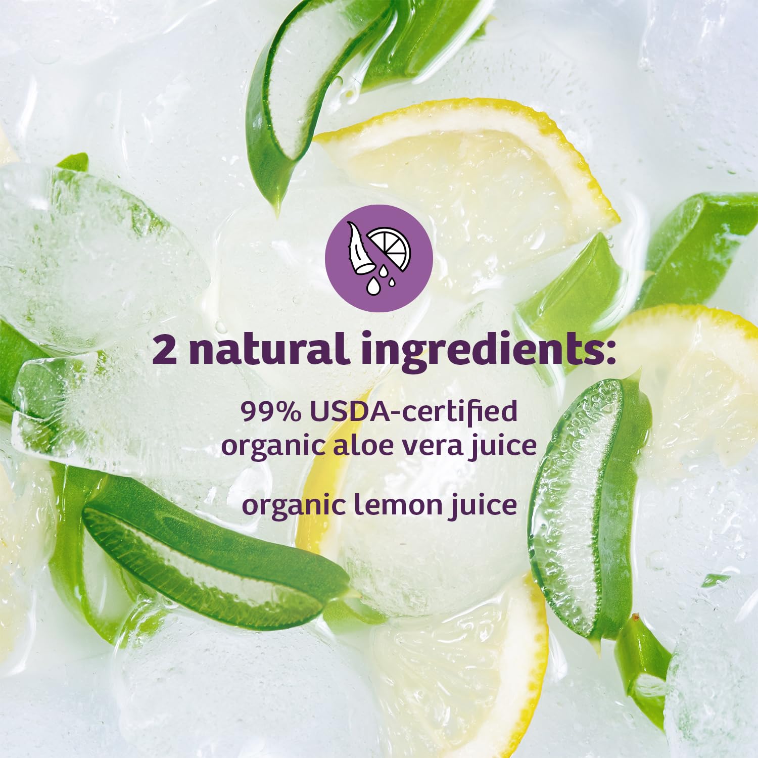 Organic Aloe Vera Juice - Inner Fillet Drink for Gut Health and Glowing Skin - 32 Fl Oz