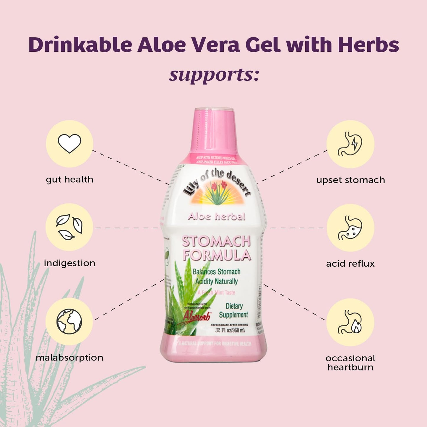 Organic Aloe Vera Juice Stomach Formula with Slippery Elm, Chamomile, Peppermint, Ginger - 32 Oz - Gut Health, Acid Reflux Relief