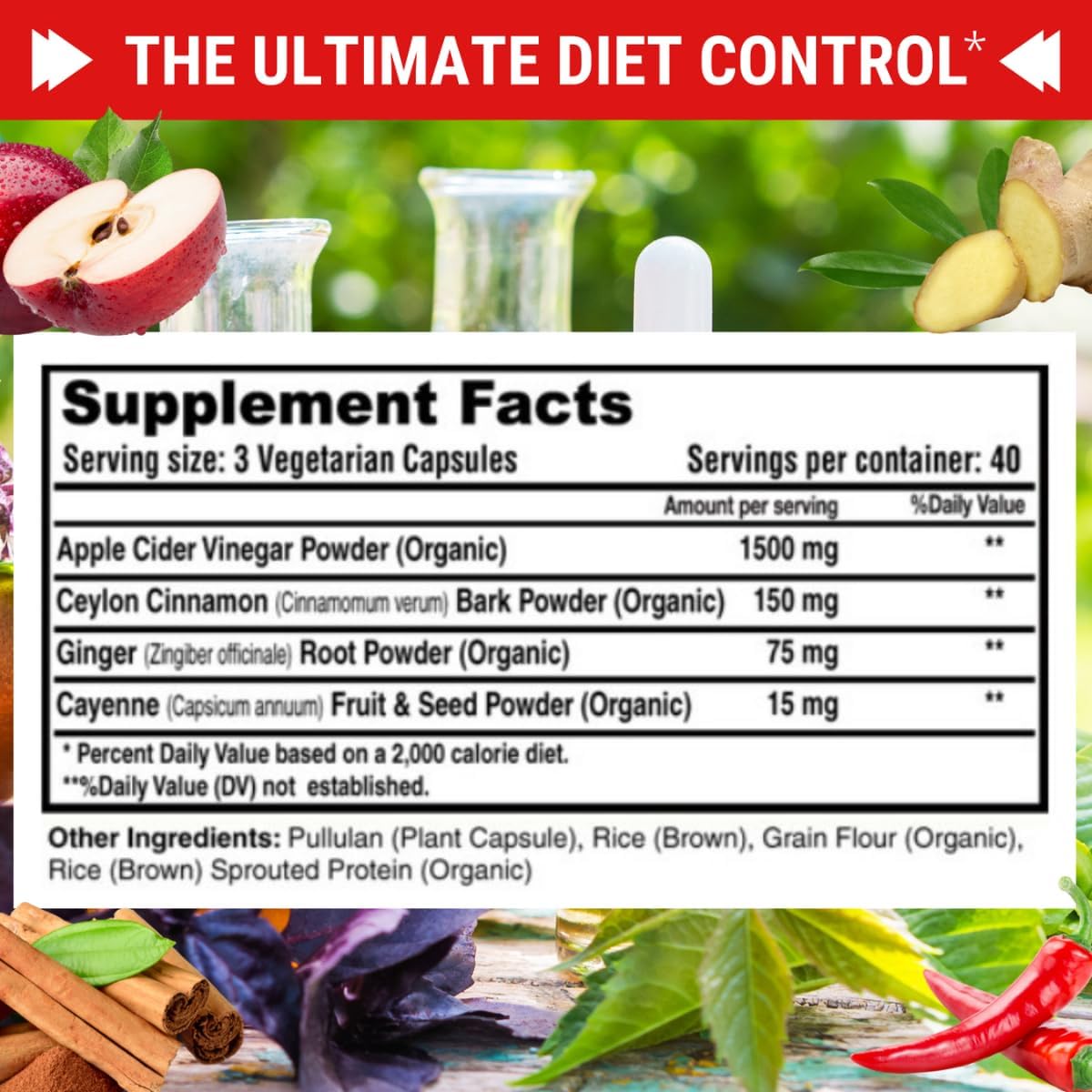 Organic Apple Cider Vinegar Capsules 1740mg with Mother - Natural Detox & Digestion Support with Cinnamon, Ginger & Cayenne - 120 Vegan Pills for Healthy Living
