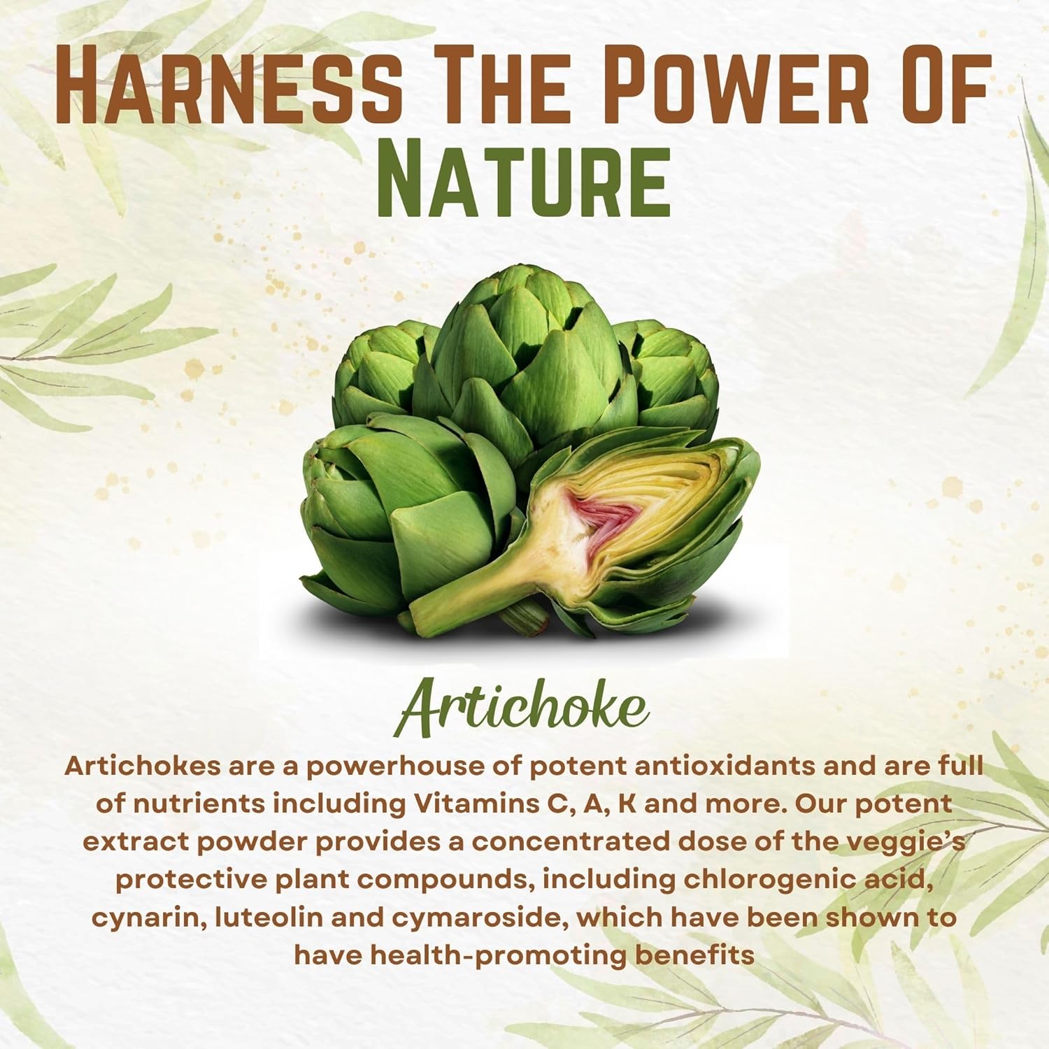 Organic Artichoke Extract Powder - High Cynarin Content - Pure Leaf & Stem - 4oz - 150 Servings