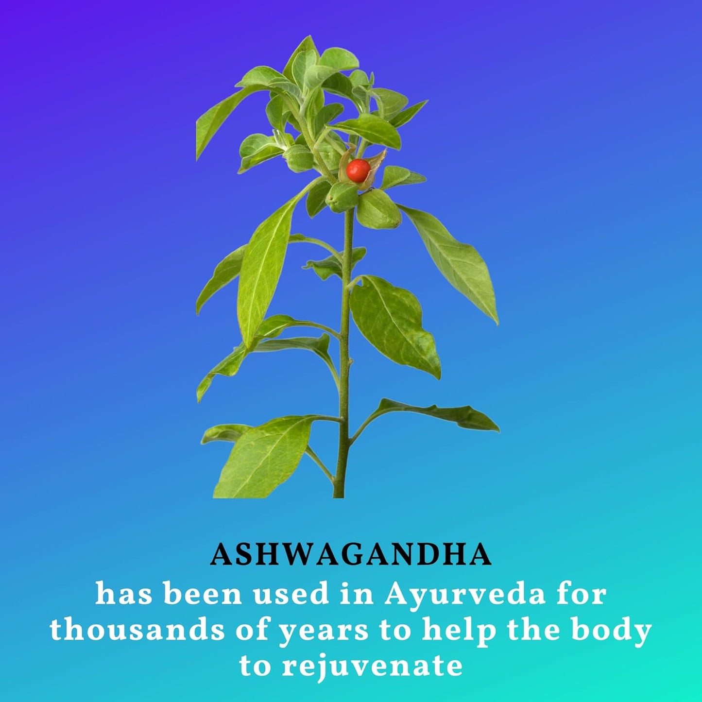 Organic Ashwagandha Capsules with Black Pepper | Hormone Support | Non-GMO, Gluten-Free, Vegan | Natural Supplement | 60 Capsules