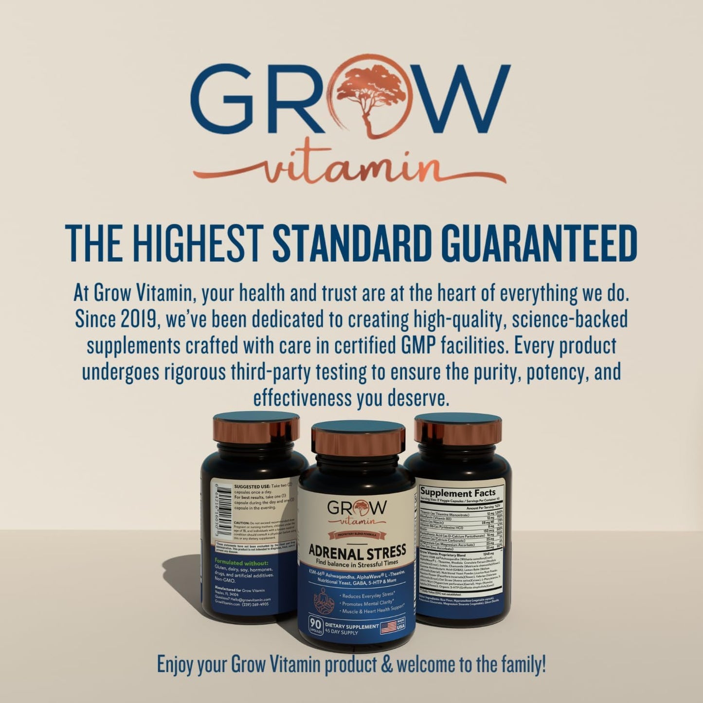 Organic Ashwagandha & L-Theanine Stress Relief Formula - Mood & Cognitive Support, Brain Health - 90 Capsules