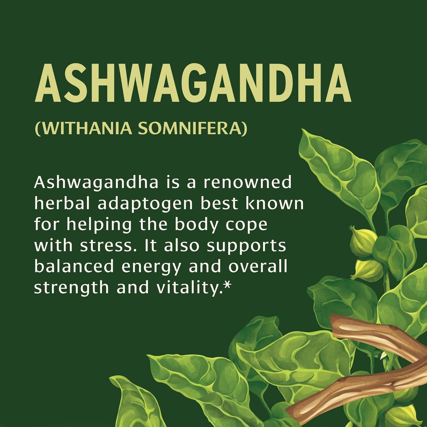 Organic Ashwagandha Root Tablets for Natural Energy and Stress Support - 90 Count Vegan Tablets - Non-GMO Adaptogen Supplement