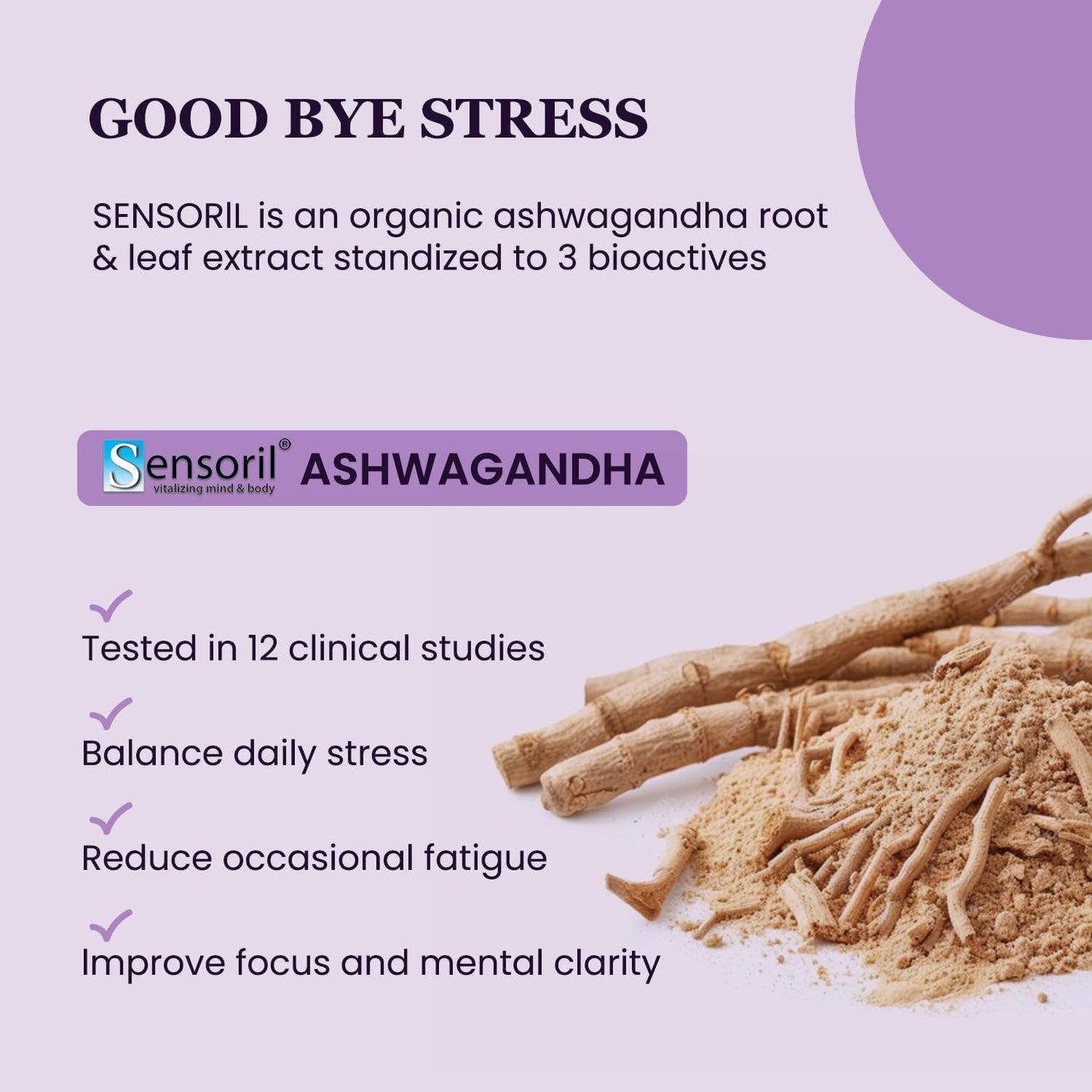 Organic Ashwagandha Saffron Probiotic Supplements for Stress Relief, Mood Enhancement, and Focus - Vegan Capsules with L-Theanine and Rhodiola