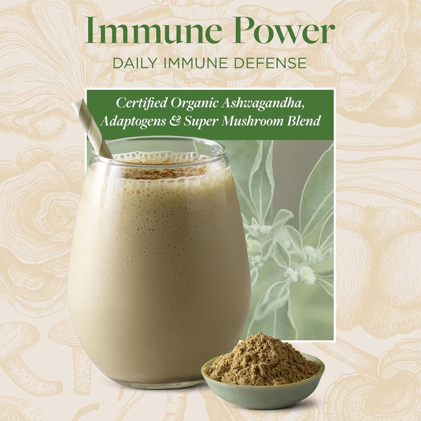 Organic Ashwagandha & Super Mushroom Blend for Daily Immune Support