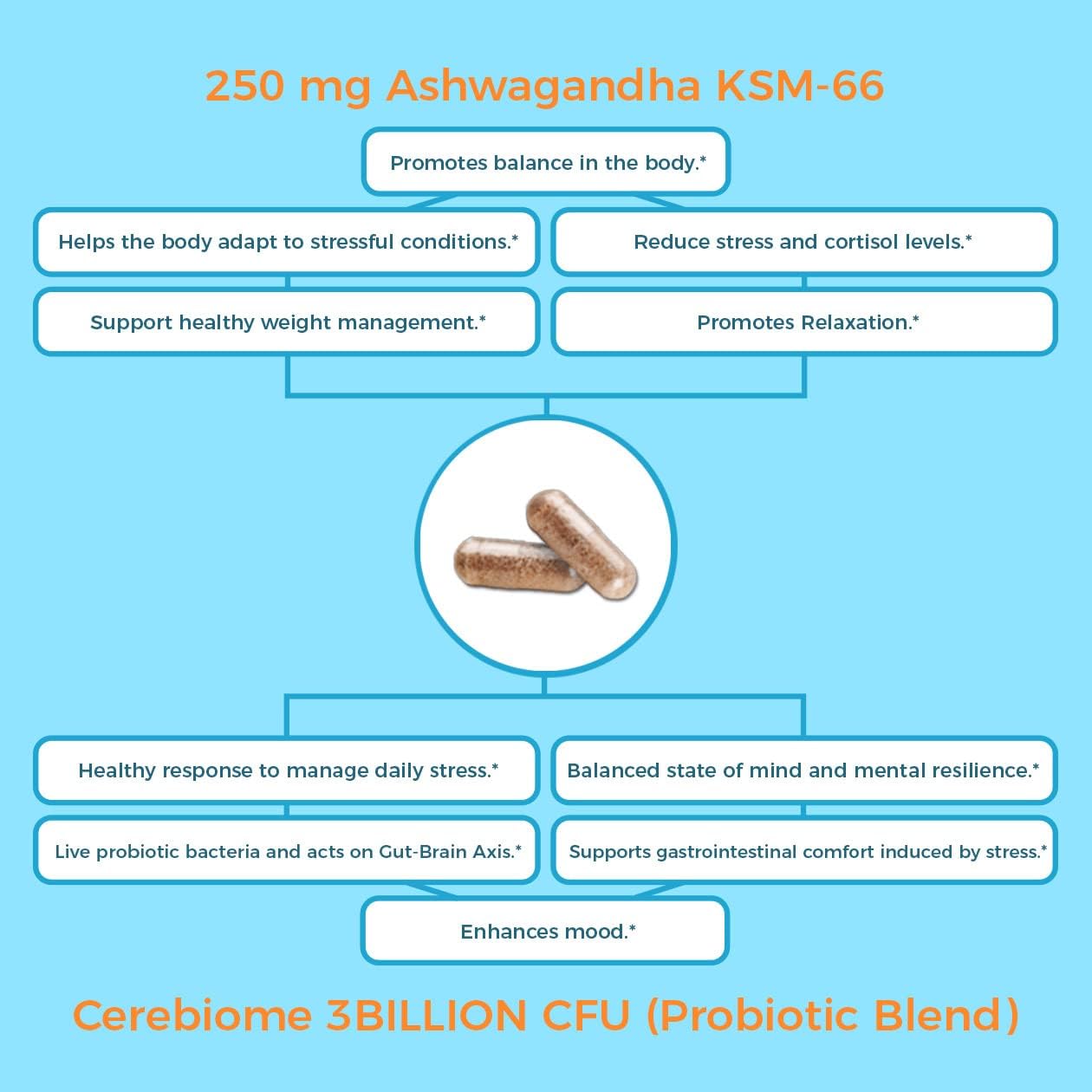Organic Ashwagandha Supplement for Stress Relief, Mood Support, Sleep Aid, Brain Focus, Probiotics for Women, Gut Health - Vegan Non GMO Formula (60 Days)