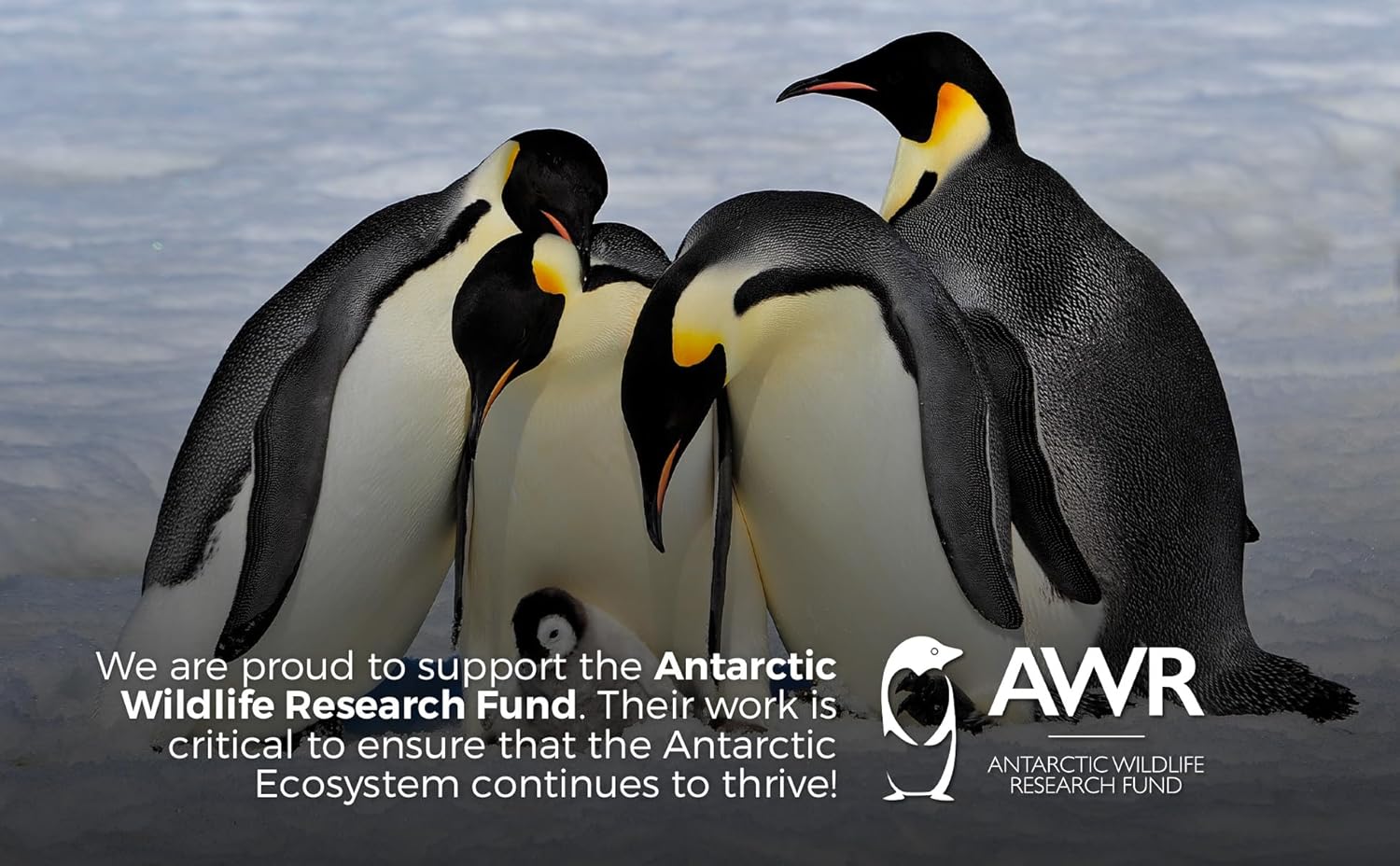 Organic Astaxanthin and Turmeric Curcumin Joint Support Bundle - Enhanced with Glucosamine, Collagen Type II, Chondroitin, MSM, Vitamin C, and Pure Krill Oil