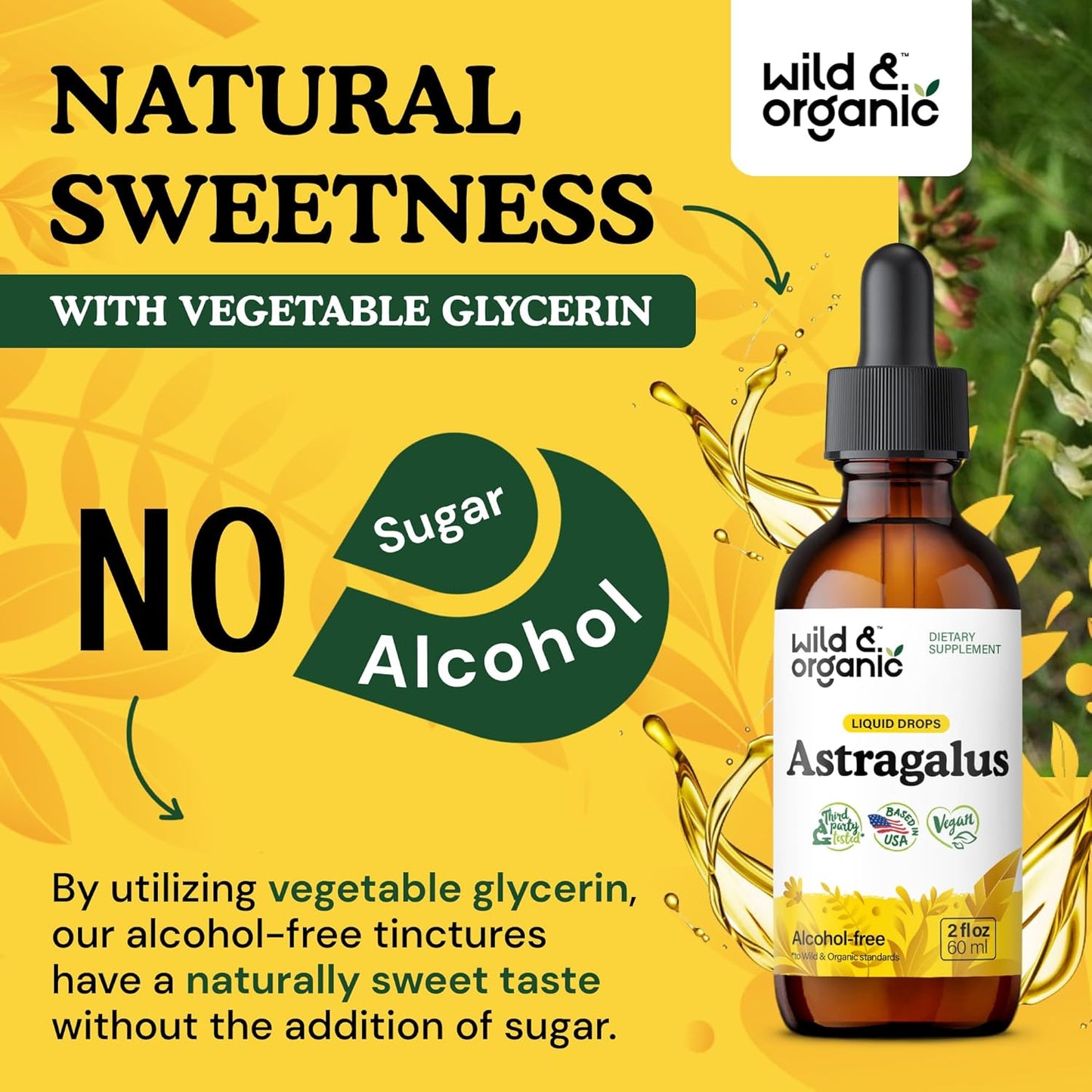 Organic Astragalus Root Extract Tincture - Immune Support Herbal Drops - Calming & Relaxing Supplement - Vegan, Sugar & Alcohol Free - 2 fl oz