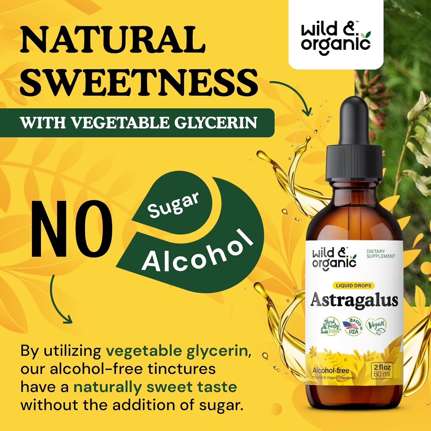 Organic Astragalus Root Extract Tincture - Immune Support Herbal Drops - Calming & Relaxing Supplement - Vegan, Sugar & Alcohol Free - 2 fl oz