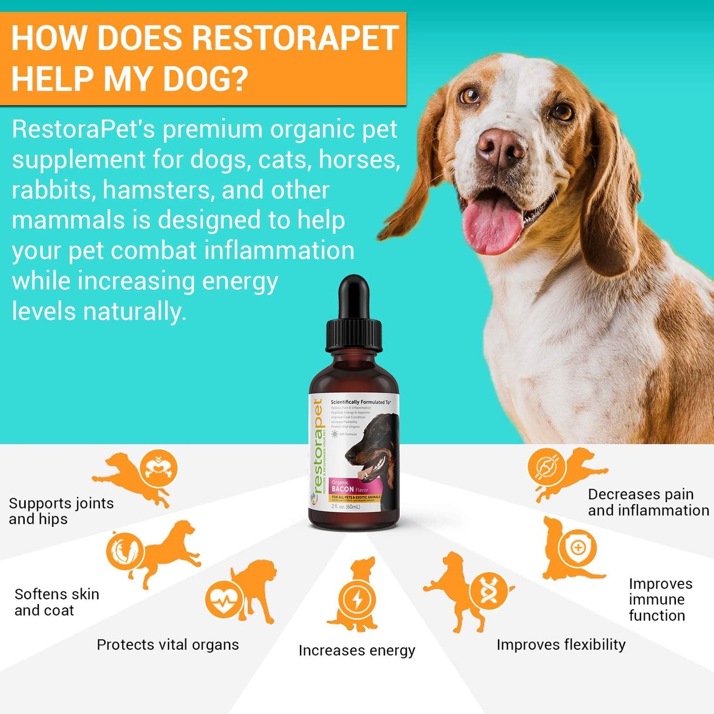 Organic Bacon Flavored Liquid Multivitamin for Dogs & Cats - Hip & Joint Vitamins for Arthritis Pain Relief - Anti Inflammatory Supplement - RestoraPet 1-Pack - Vet Approved & Non-GMO