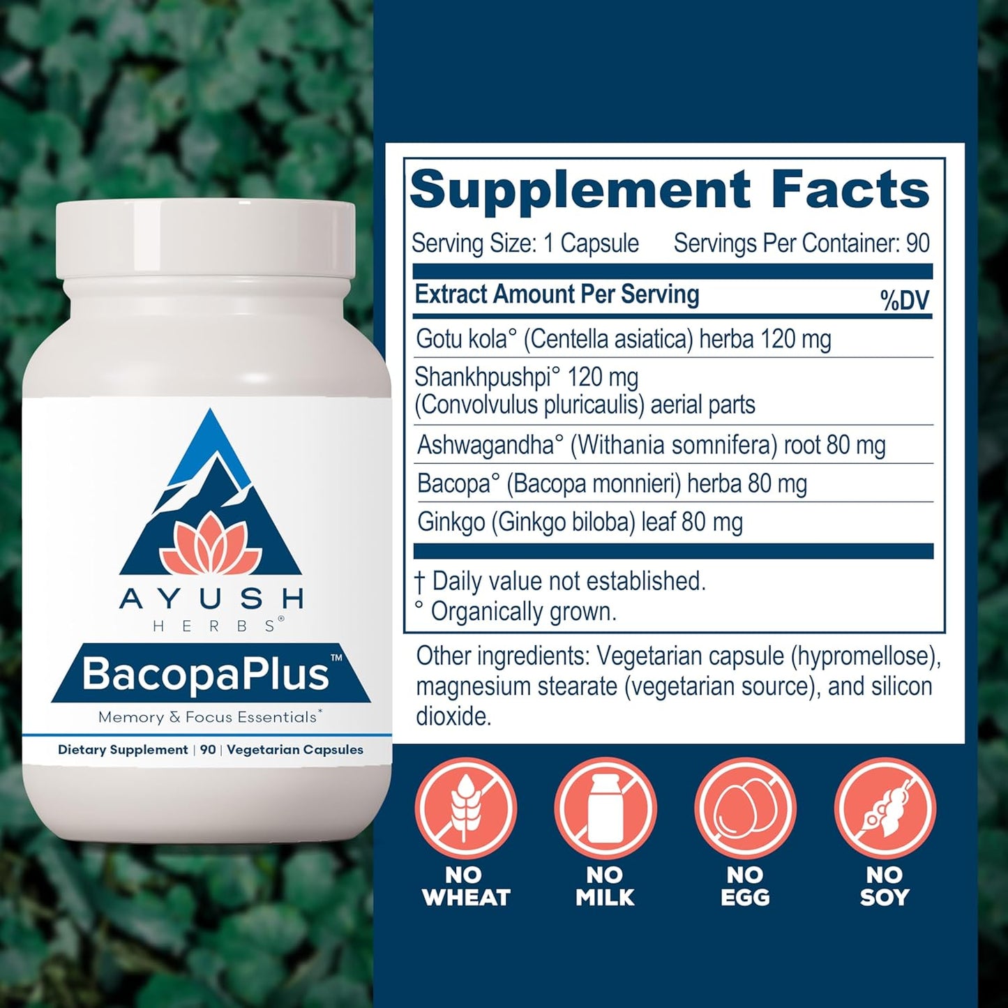 Organic BacopaPlus Supplement for Memory & Focus with Ginkgo and Ashwagandha - 90 Vegetarian Capsules