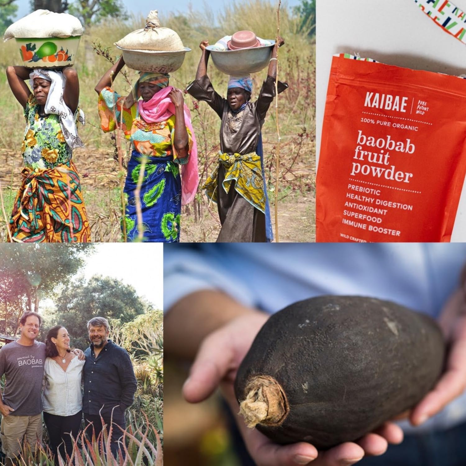 Organic Baobab Powder for Gut Health, Immunity, and Hydration - Premium Prebiotic Supplement with Vitamin C, Polyphenols, and Minerals - 16 oz.