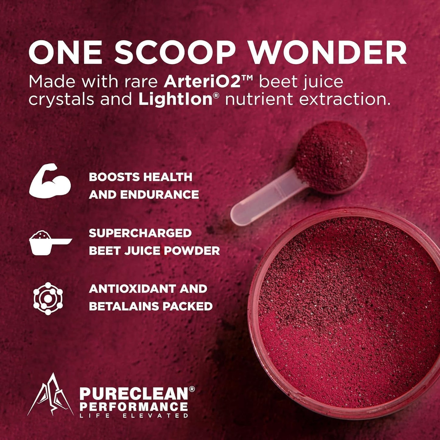 Organic Beet Juice Powder - Nitric Oxide Supplement - 100% USA Grown Beets - 60 Servings - 300g - 2 Jars