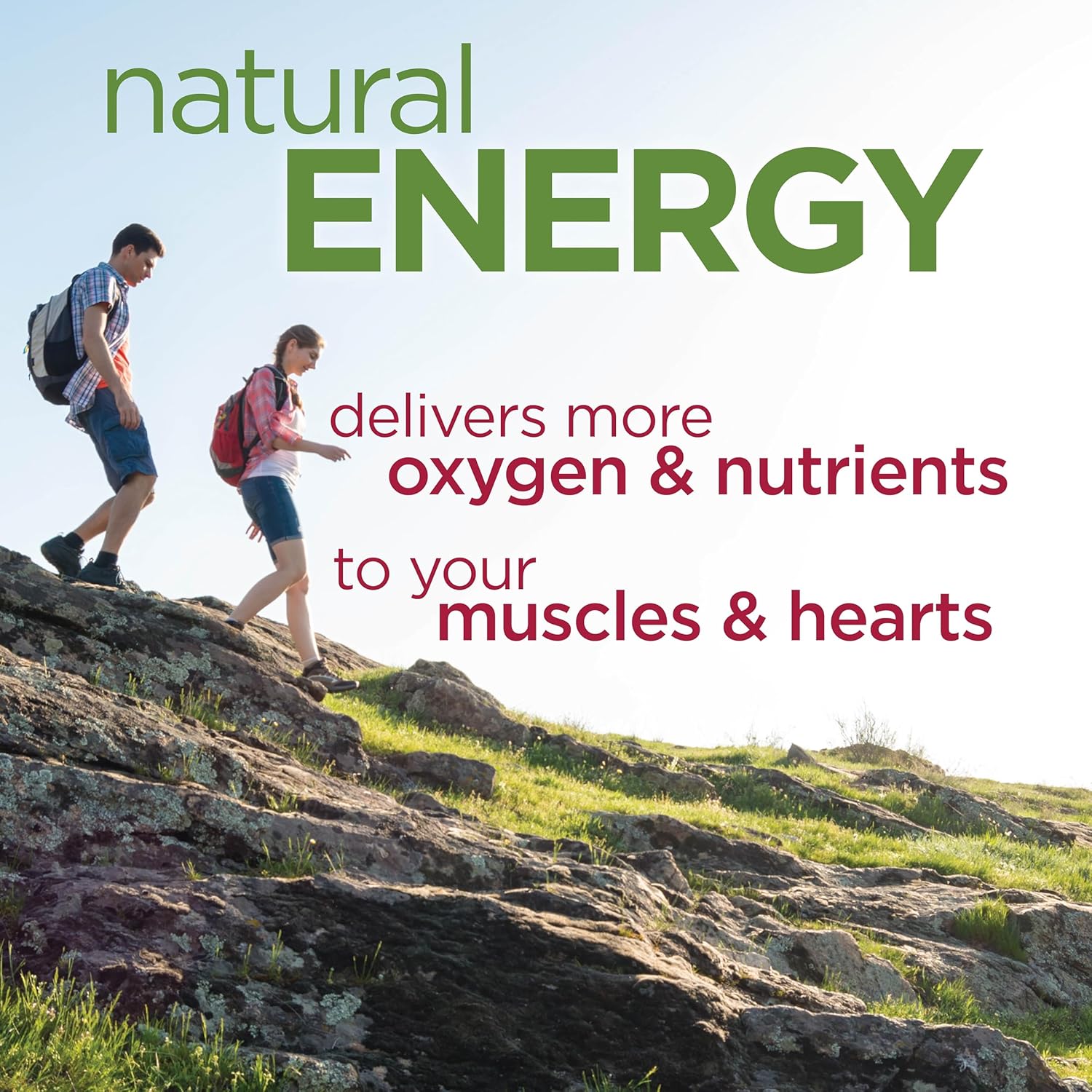 Organic Beet Root Capsules - Natural Nitric Oxide Support, Wholefood Extract, Immune Boost - 90 Count