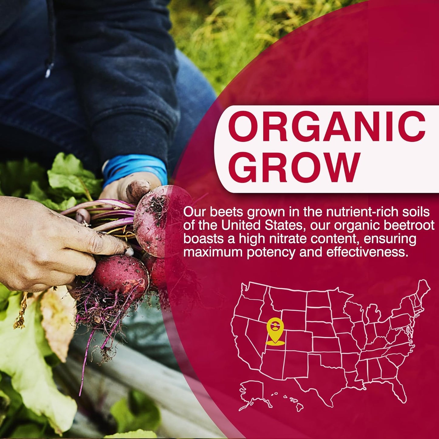 Organic Beet Root Capsules 2000mg for Circulation & Energy, Nitric Oxide Supplement with Grape Seed Extract & Pomegranate Juice Powder, Non GMO - 240 Count