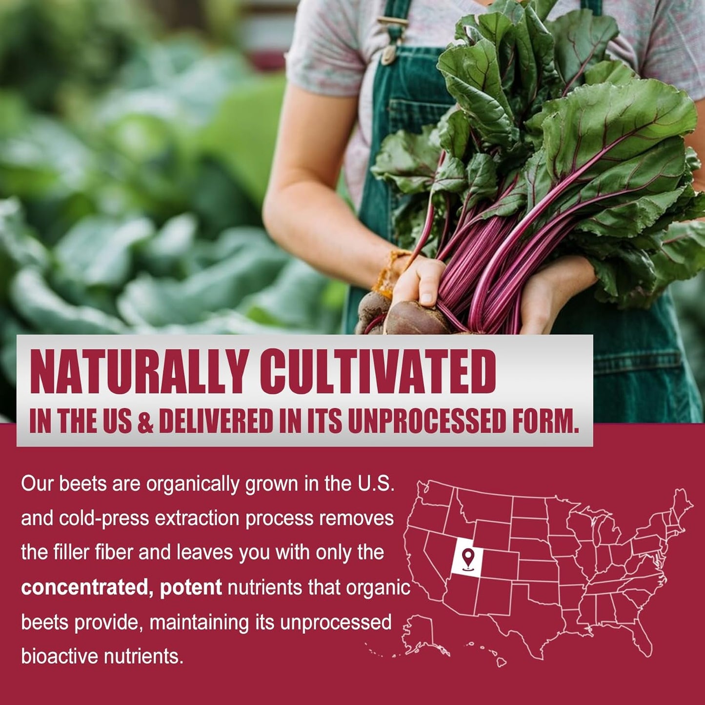 Organic Beet Root Gummies with L-Arginine 1400mg for Energy, Blood Flow & Circulation - Vegan, Non-GMO, 120 Count