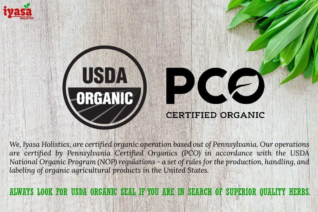 Organic Beet Root Powder for Nitric Oxide Boost and Blood Circulation Support - 8 oz Vegan Superfood