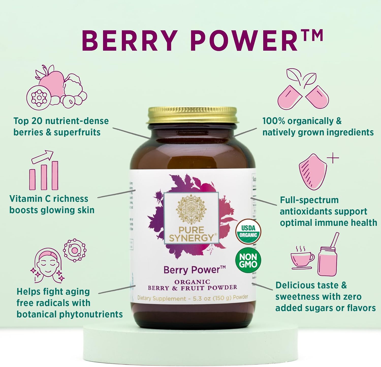 Organic Berry Power Antioxidant Supplement | Acai, Camu Camu, Wild Blueberry | Healthy Aging, Immune, Skin Support | 5.3 oz Powder
