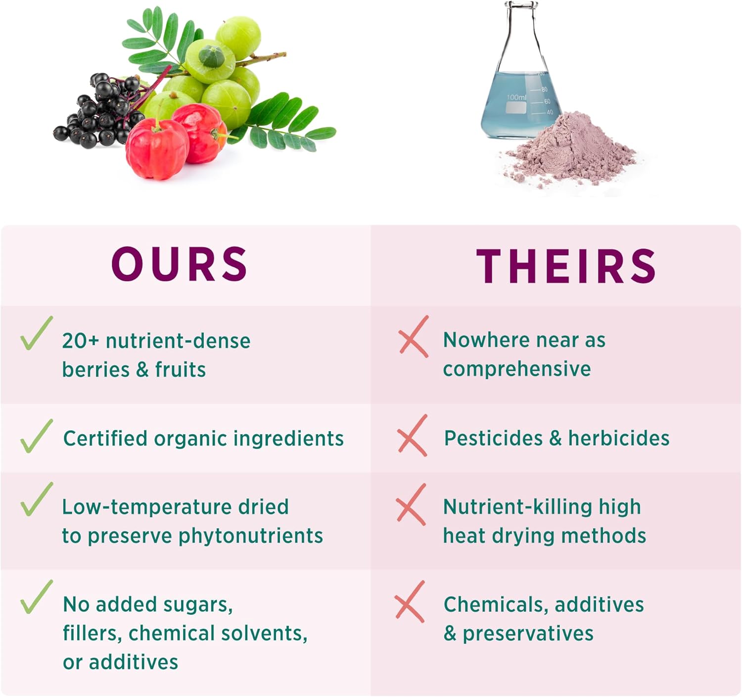 Organic Berry Power Antioxidant Supplement | Acai, Camu Camu, Wild Blueberry | Healthy Aging, Immune, Skin Support | 5.3 oz Powder