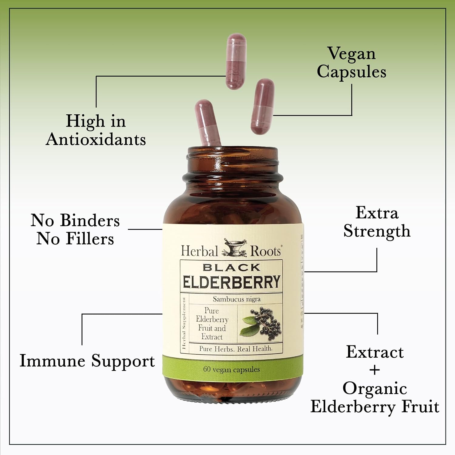 Organic Black Elderberry Capsules | Max Strength | Vegan | Made with Organic Sambucus | 60 Capsules