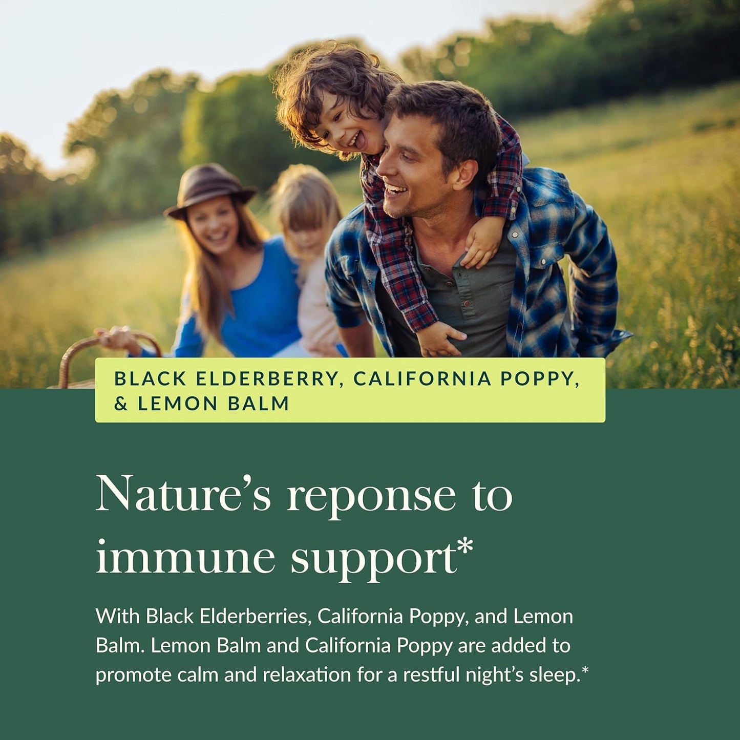 Organic Black Elderberry Nighttime Syrup for Immune Support and Restful Sleep - Gaia Herbs Supplement - 3 Fl Oz