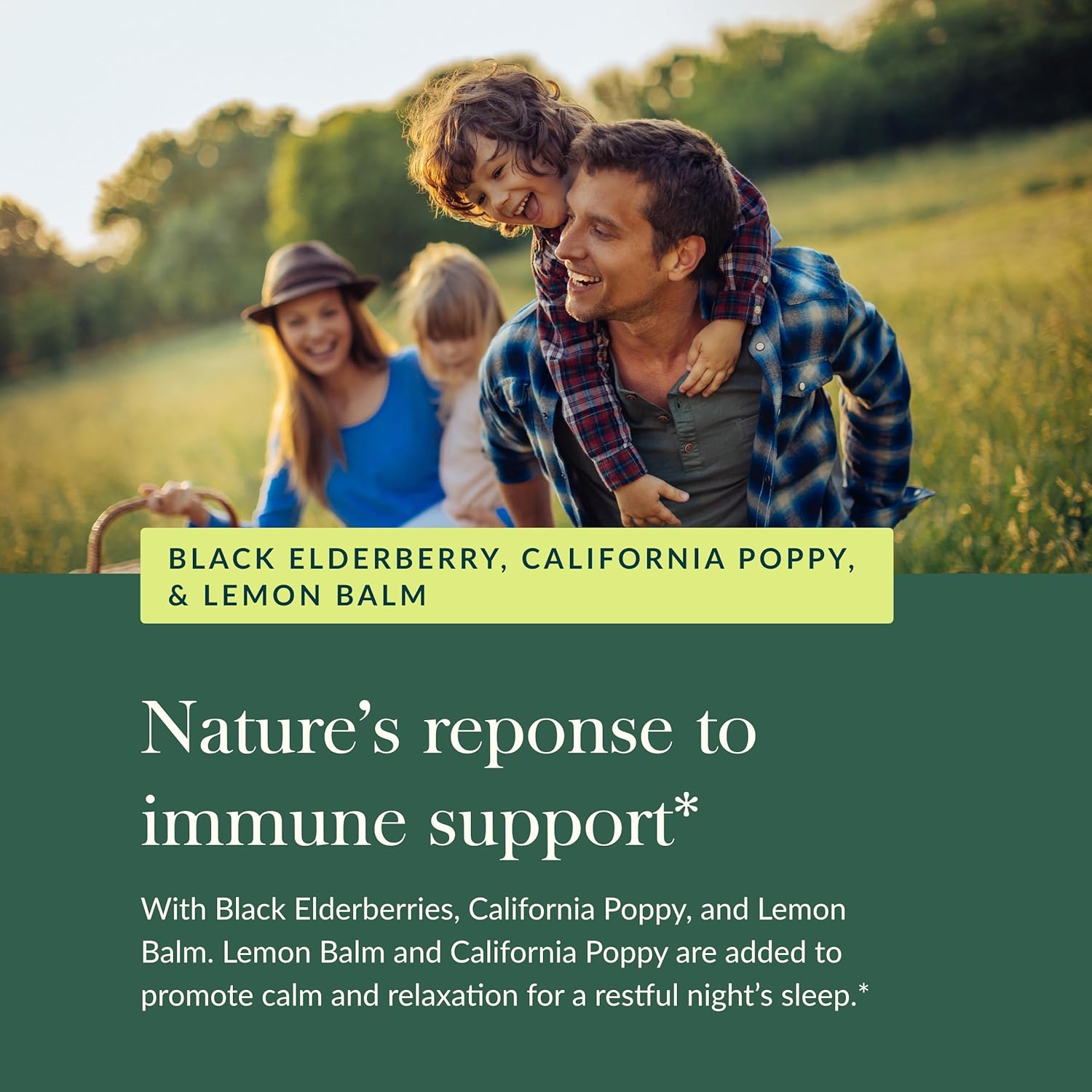 Organic Black Elderberry Nighttime Syrup for Immune Support and Restful Sleep - Gaia Herbs Supplement - 3 Fl Oz