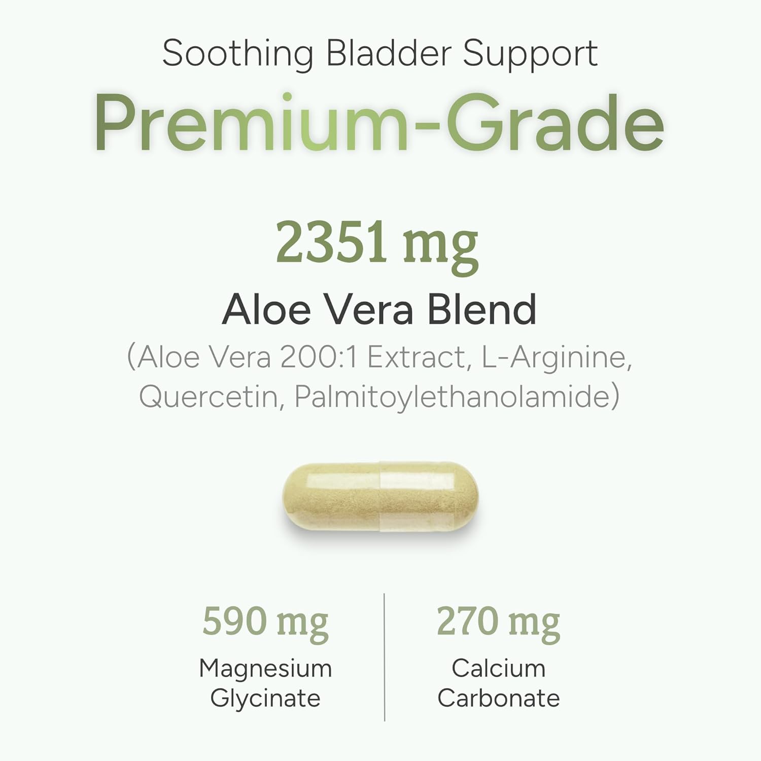 Organic Bladder Health Supplement with Aloe Vera Extract, Quercetin & L-Arginine - 90 Capsules - USA Made Premium Aloe Pills