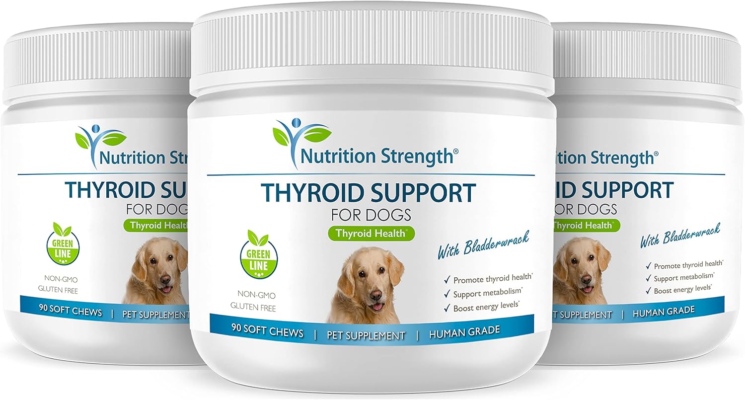 Organic Bladderwrack Thyroid Support Soft Chews for Dogs - Promotes Endocrine & Enzyme Function, 90 Count