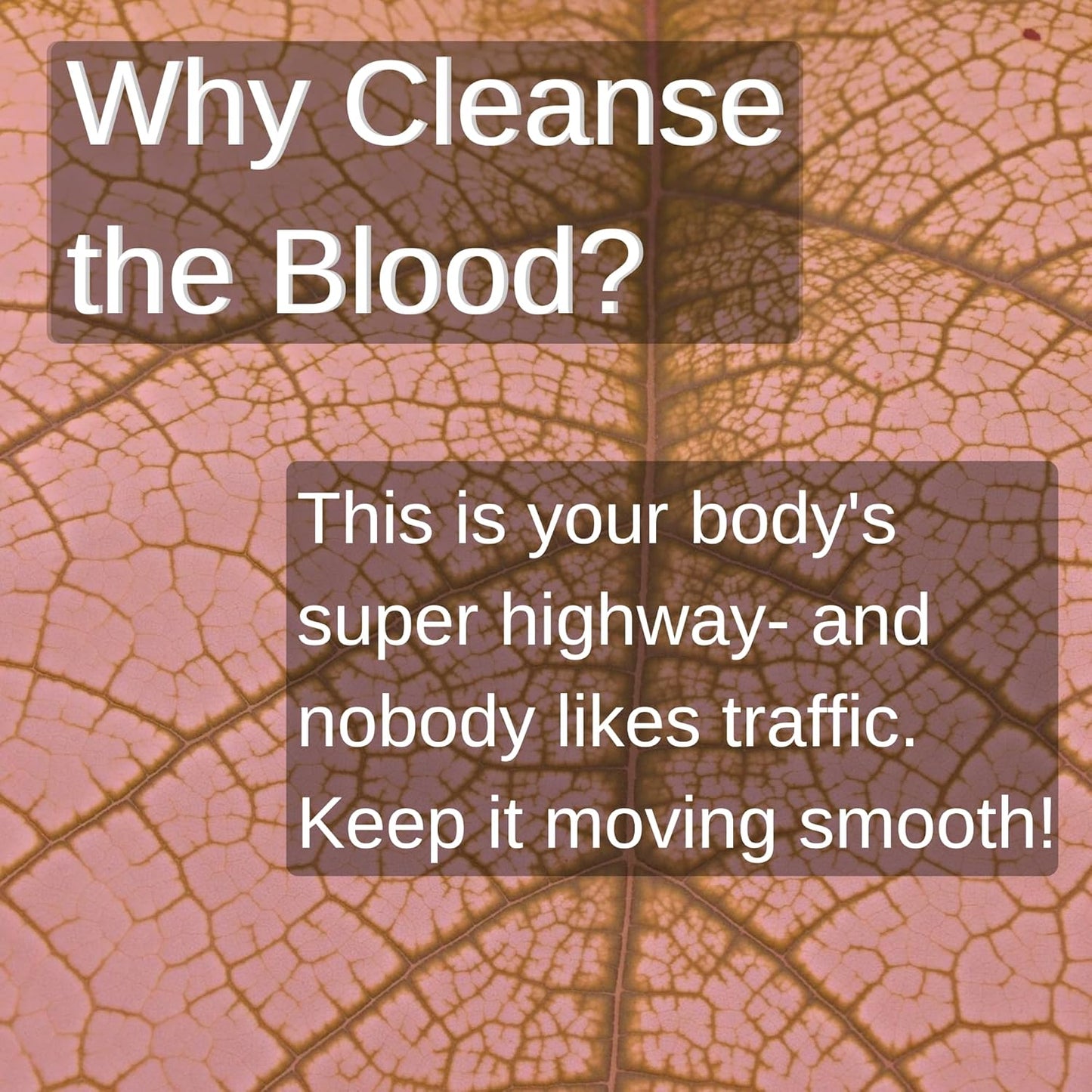 Organic Blood Cleansing Tea with Echinacea and Chamomile - Supports Natural Detoxification and Waste Removal from Blood Stream