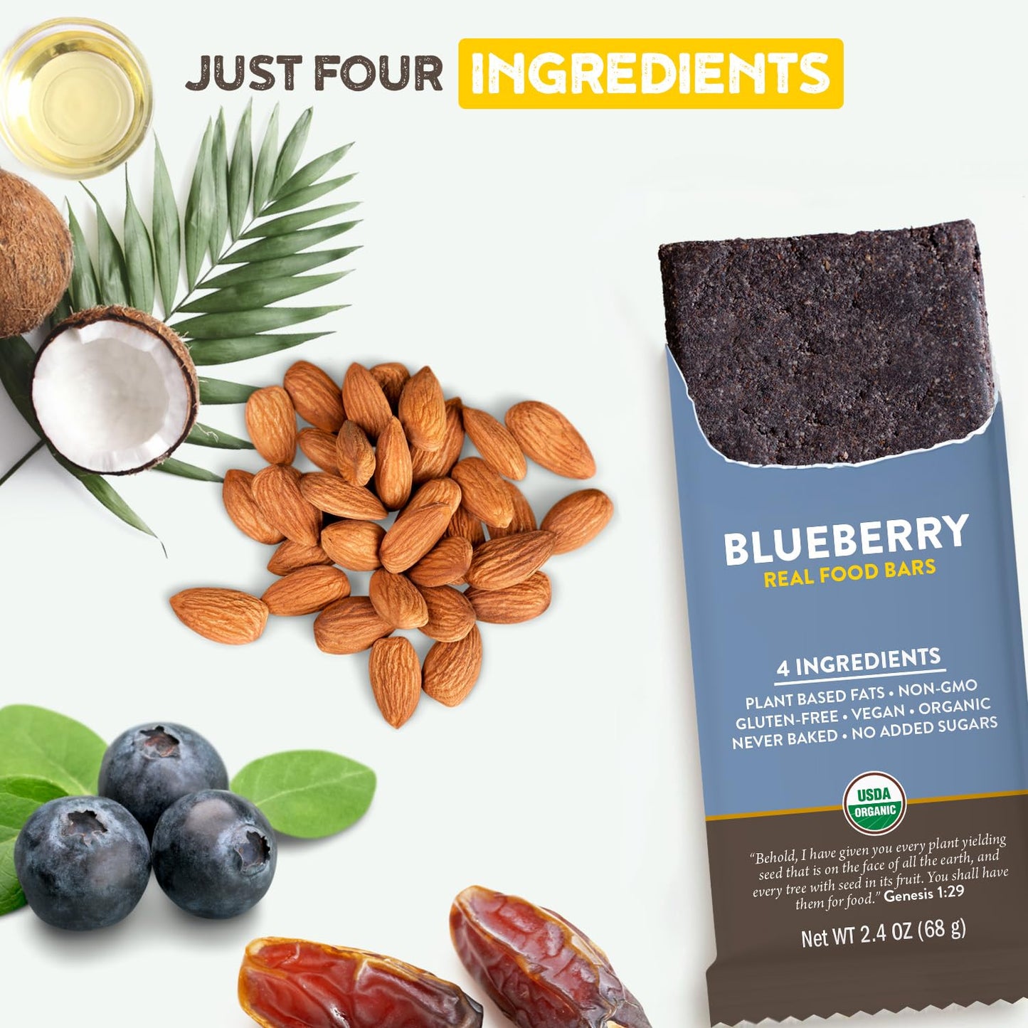 Organic Blueberry Protein Bars - Vegan, Gluten Free, Low Sugar, Non GMO, Plant Based Snacks