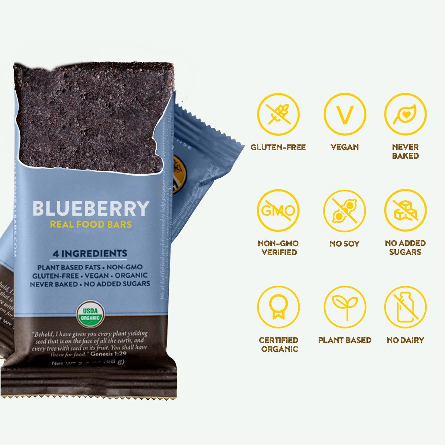 Organic Blueberry Protein Bars - Vegan, Gluten Free, Low Sugar, Non GMO, Plant Based Snacks
