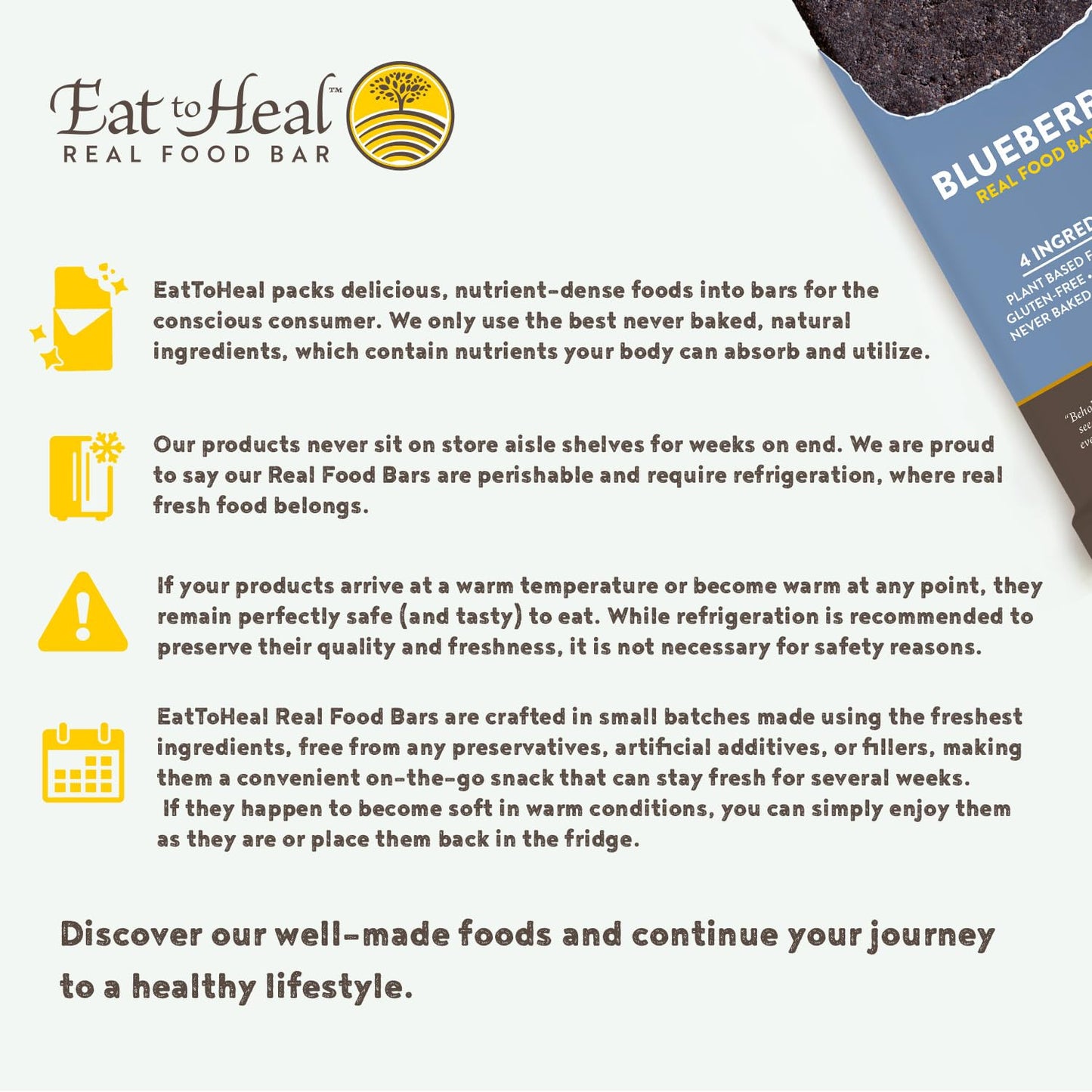Organic Blueberry Protein Bars - Vegan, Gluten Free, Low Sugar, Non GMO, Plant Based Snacks