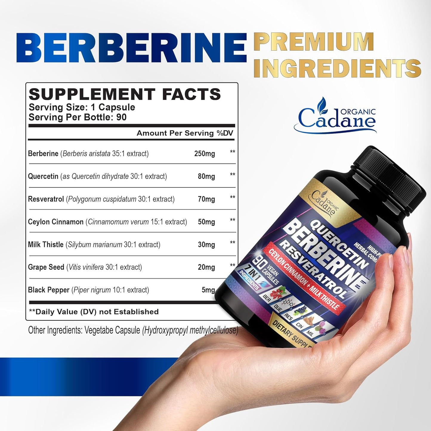 Organic Cadane 7in1 Pure Berberine Supplement - 90 Capsules for Immunity Health Support - 3-Month Supply with Quercetin, Ceylon Cinnamon, Resveratrol, Milk Thistle, Grape Seed, and Black Pepper