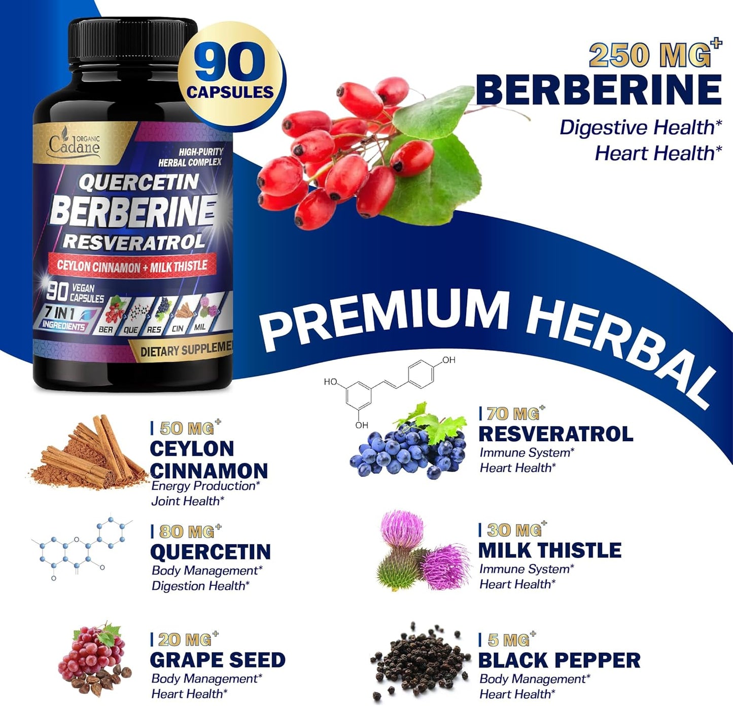 Organic Cadane 7in1 Pure Berberine Supplement - 90 Capsules for Immunity Health Support - 3-Month Supply with Quercetin, Ceylon Cinnamon, Resveratrol, Milk Thistle, Grape Seed, and Black Pepper