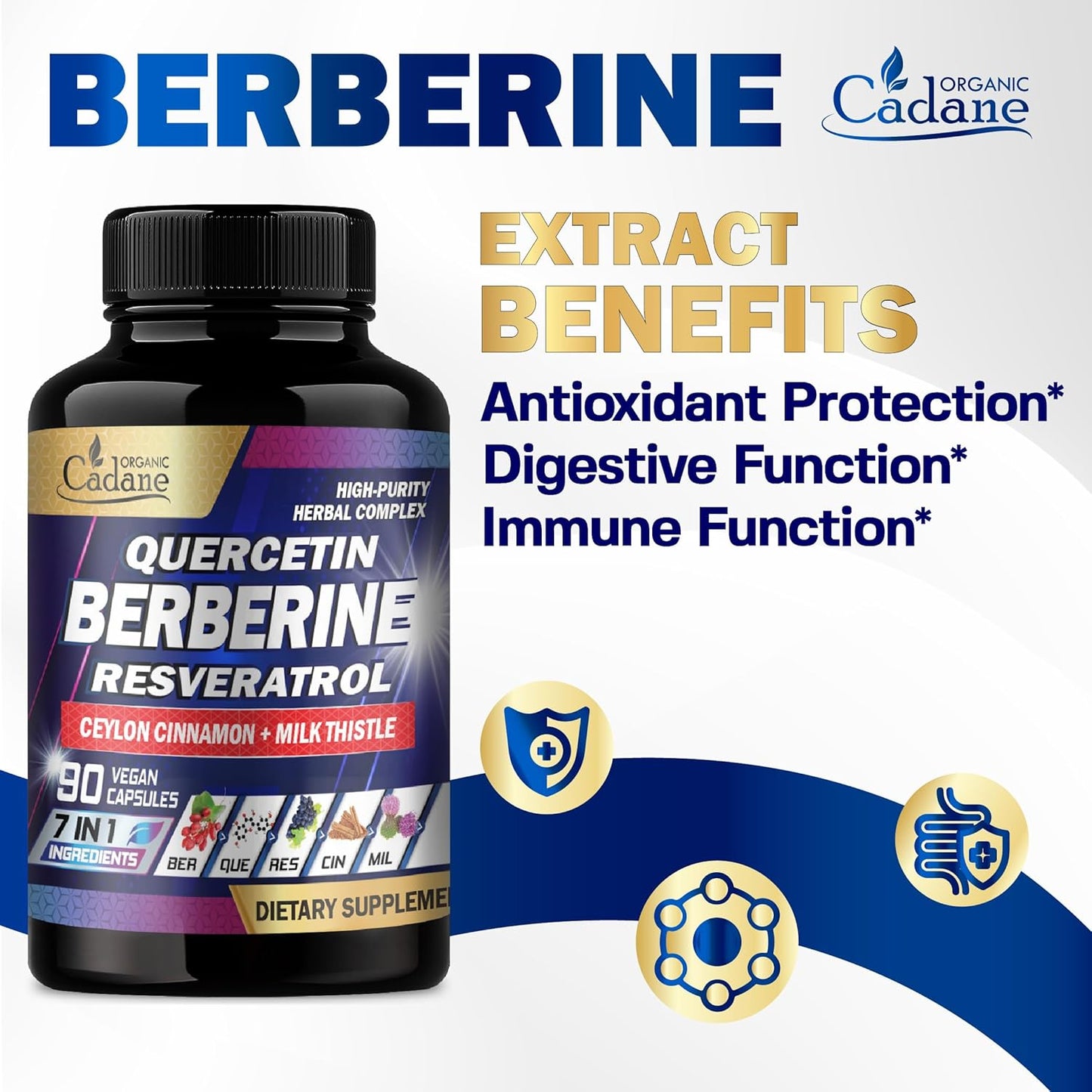 Organic Cadane 7in1 Pure Berberine Supplement - 90 Capsules for Immunity Health Support - 3-Month Supply with Quercetin, Ceylon Cinnamon, Resveratrol, Milk Thistle, Grape Seed, and Black Pepper