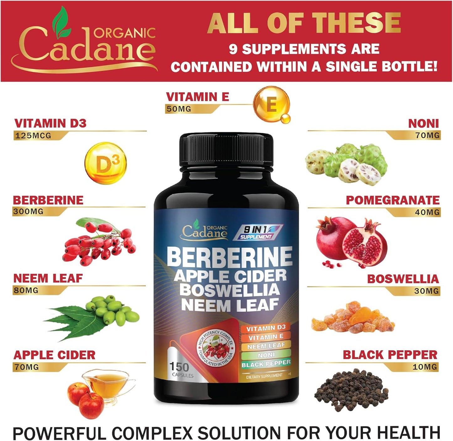 Organic Cadane Berberine Extract Capsules with Neem Leaf, Apple Cider Vinegar, Vitamin D3 & E - Immune System & Digestive Support