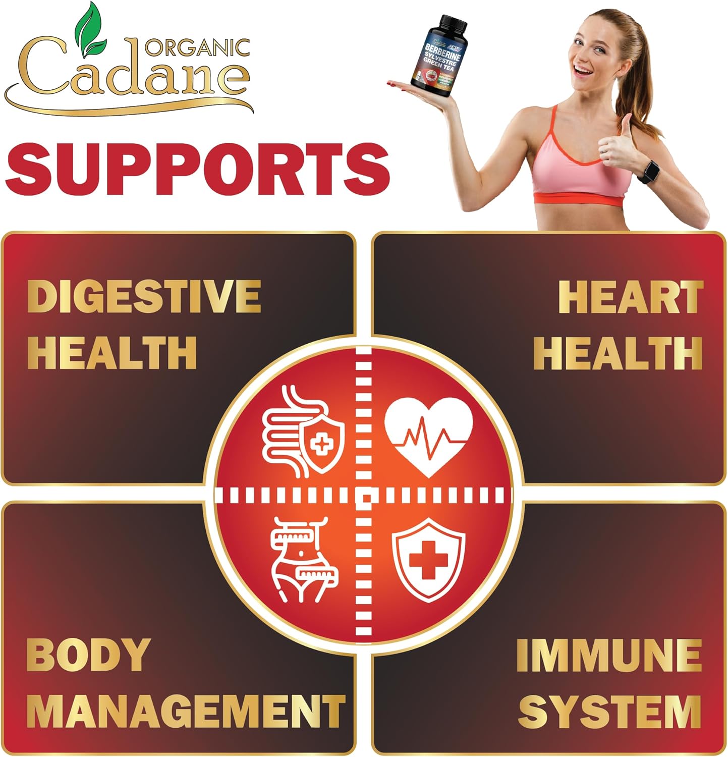 Organic Cadane Berberine Extract Capsules with Neem Leaf, Apple Cider Vinegar, Vitamin D3 & E - Immune System & Digestive Support