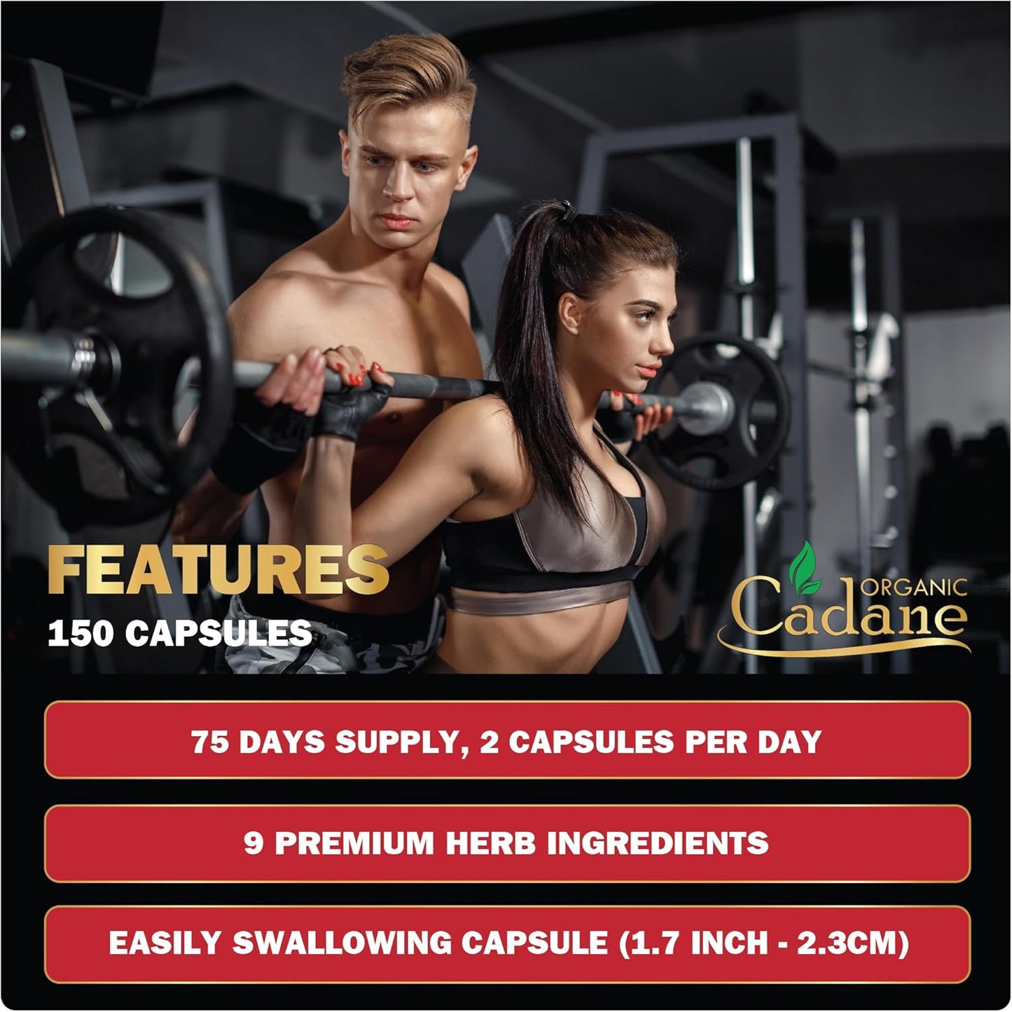 Organic Cadane Berberine Extract Capsules with Neem Leaf, Apple Cider Vinegar, Vitamin D3 & E - Immune System & Digestive Support