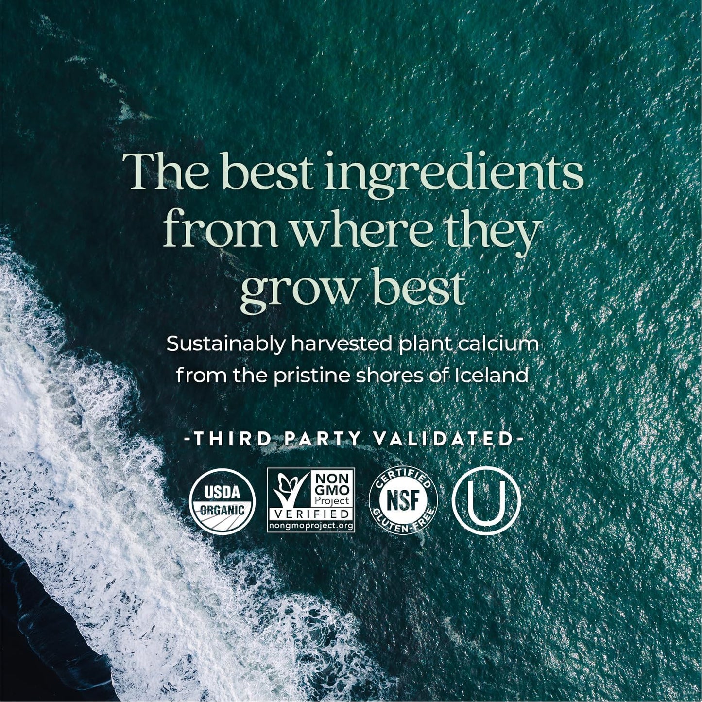 Organic Calcium Supplement with Magnesium, Vitamin D3+K2 & Trace Minerals - 120 Easy-to-Swallow Tablets for Bone Health, Gluten Free