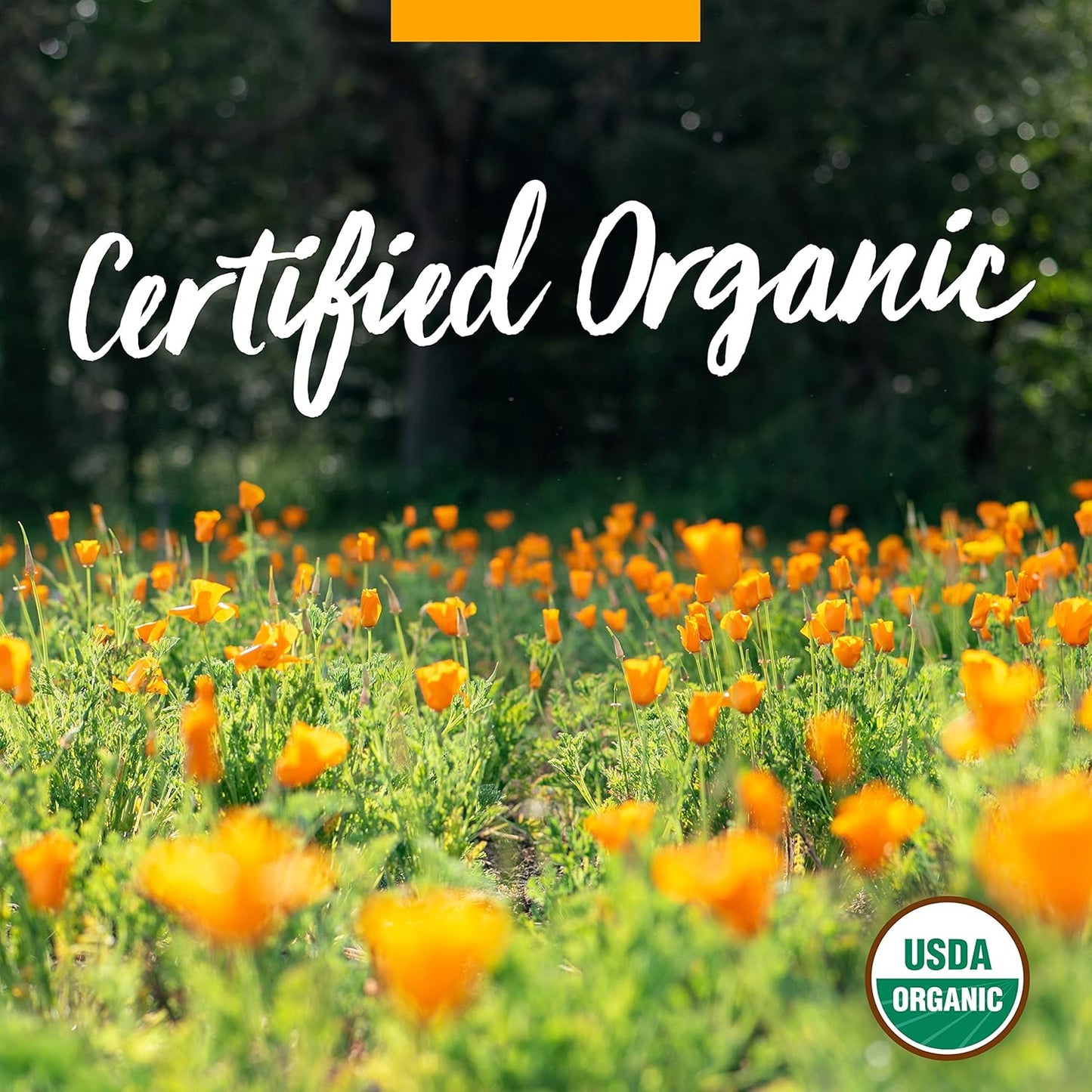Organic California Poppy Liquid Extract for Calming Nervous System - 4 oz - Herb Pharm