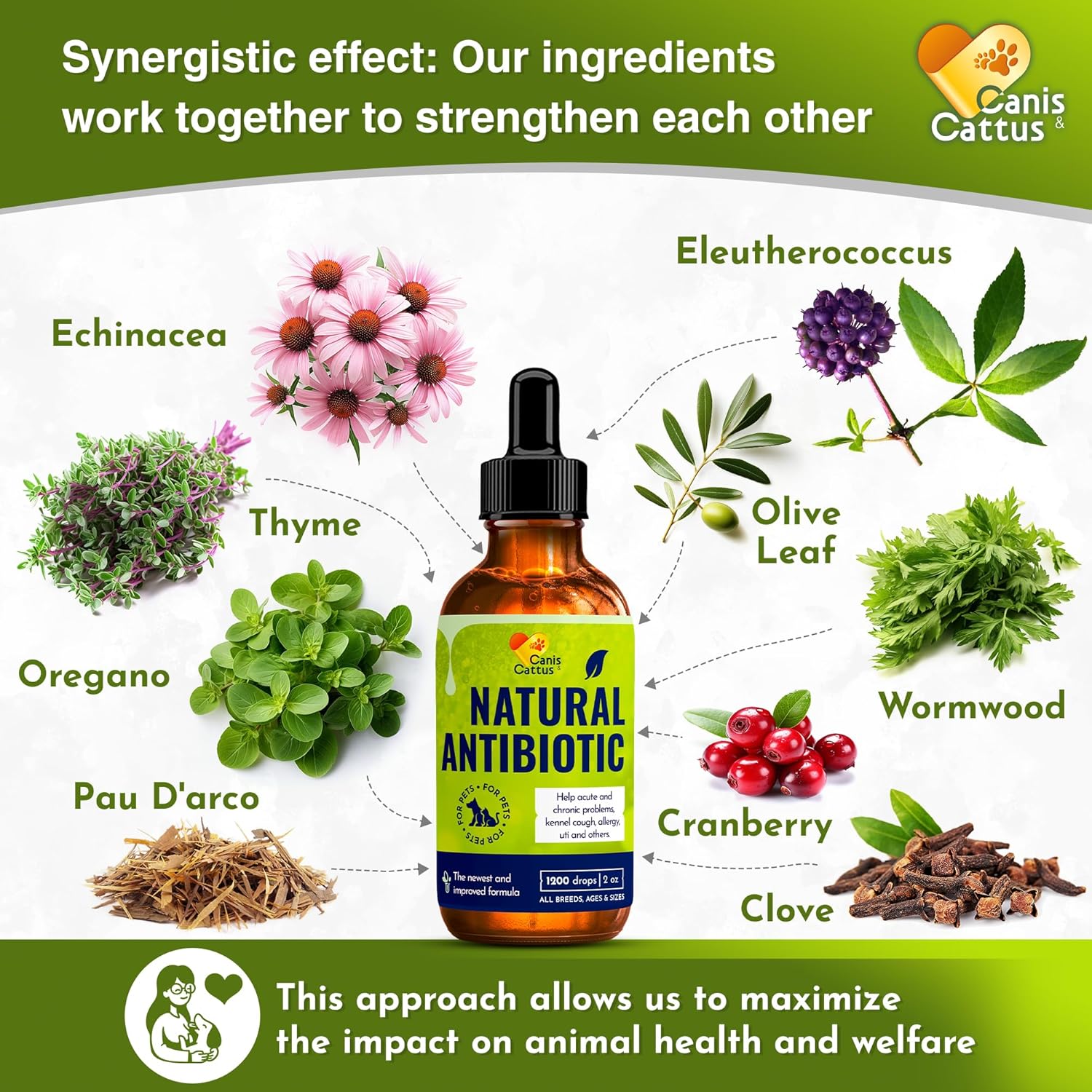 Organic Canis&Cattus Dog and Cat Antibiotic Drops for Infections, Allergies, UTIs, Itching, Cough | Natural Antibiotics for Bones, Eyes, Coat | 2 Oz