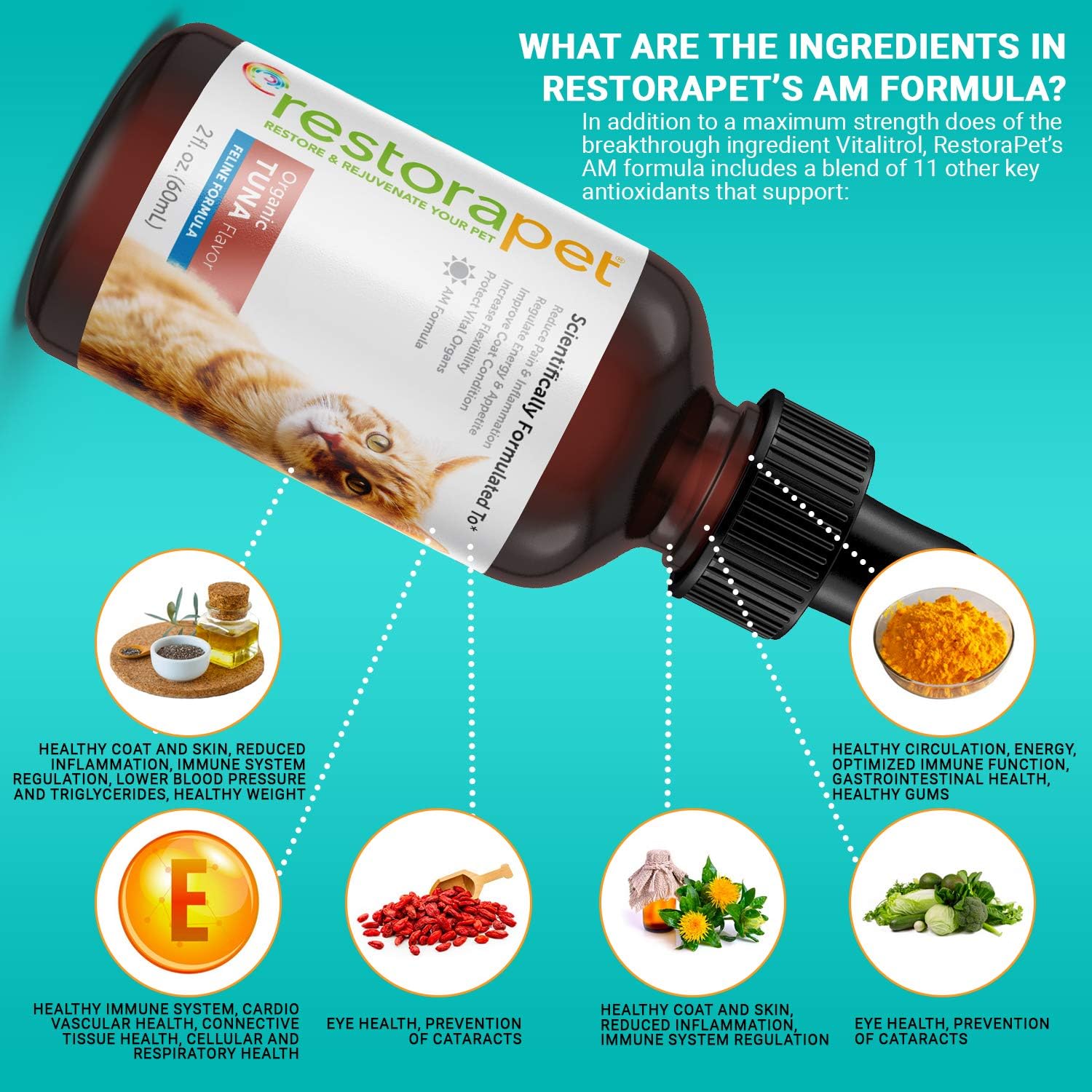 Organic Cat Supplement for Mobility & Energy | Antioxidant Anti-Inflammatory Drops | Tuna Flavored Joint Support for Cats