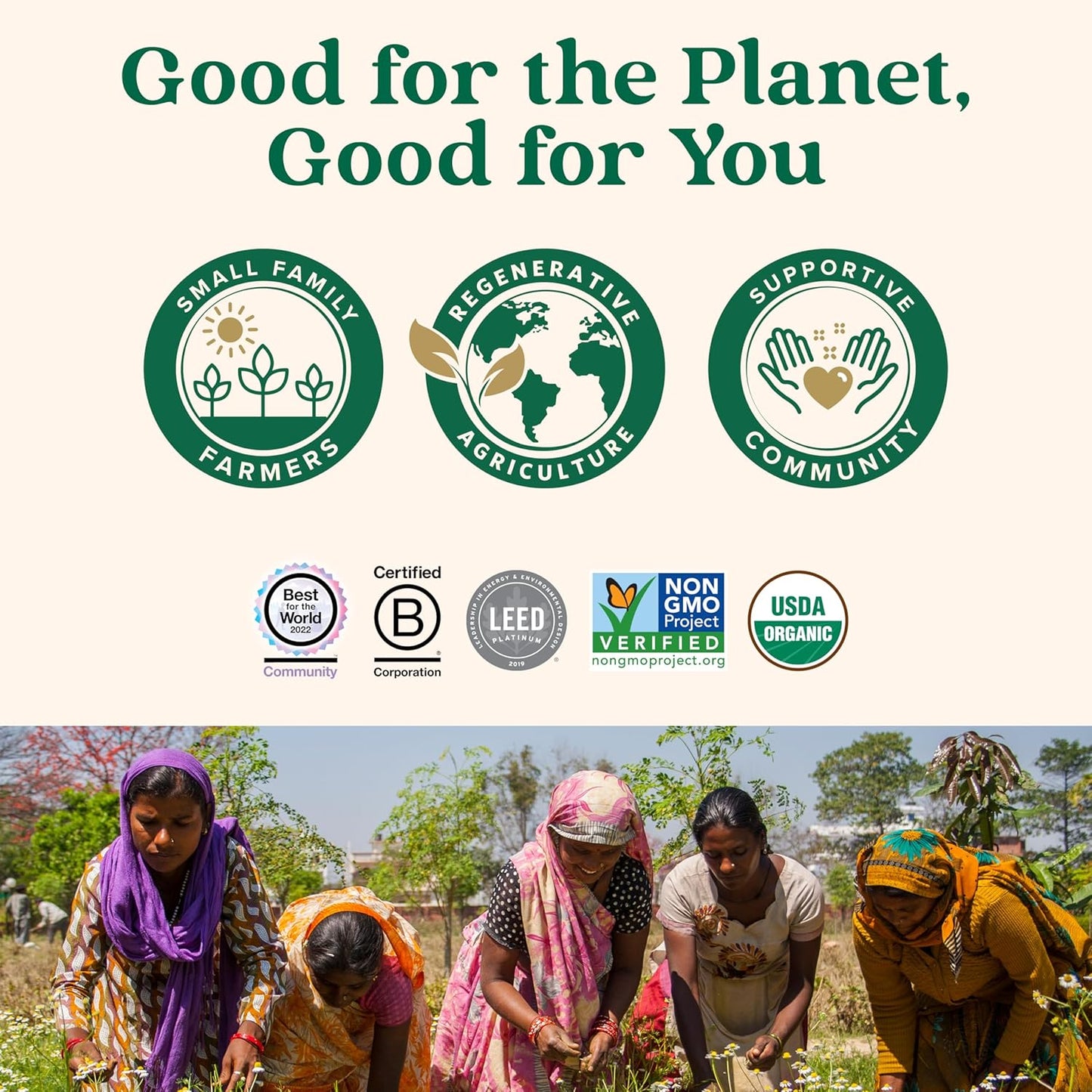 Organic Ceylon Cinnamon Capsules - Herbal Supplement for Digestion & Antioxidants - USDA Organic, Vegan, Gluten-Free - 90 Capsules