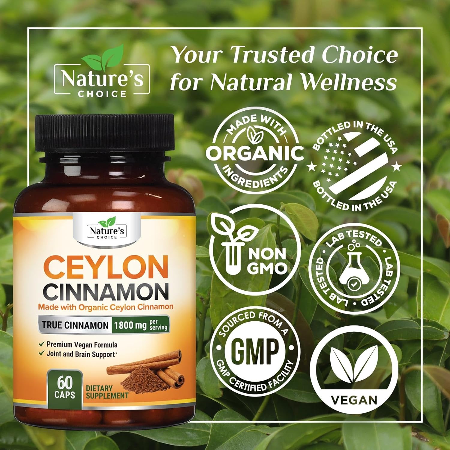Organic Ceylon Cinnamon Capsules 1800mg - Non-GMO Antioxidant Pills, 60 Count Gluten Free Supplement