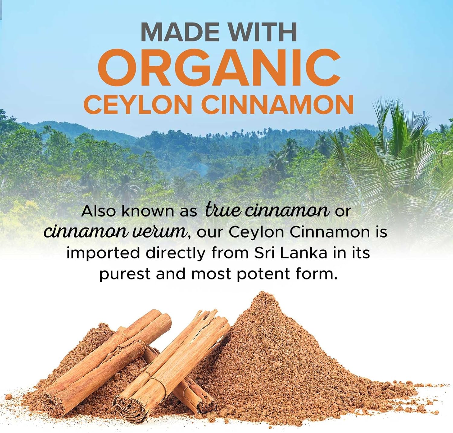 Organic Ceylon Cinnamon Capsules 1800mg - Non-GMO Antioxidant Pills, 60 Count Gluten Free Supplement