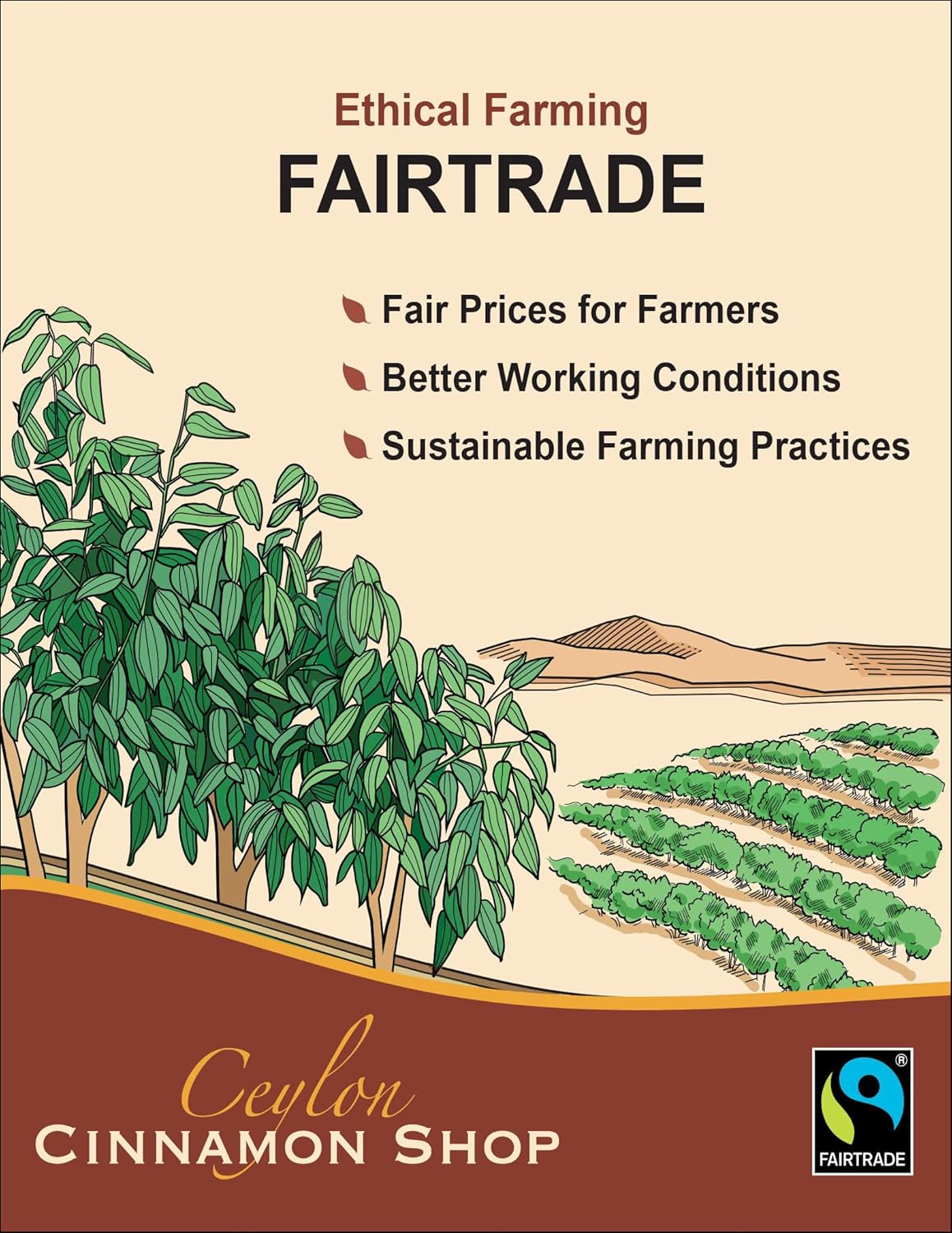 Organic Ceylon Cinnamon Capsules | Extra Strength Supplement | Super Antioxidant | 120 Capsules | 4 Month Supply