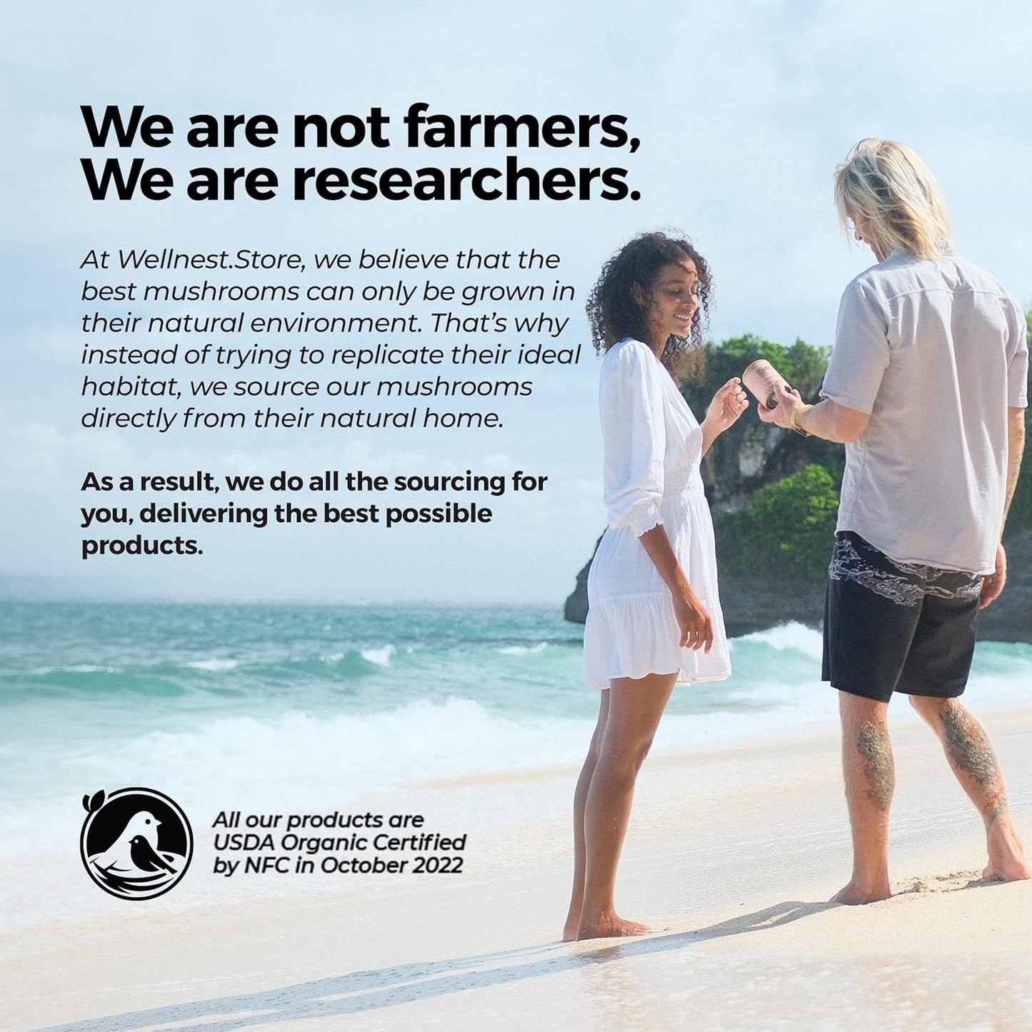 Organic Chaga Mushroom Supplement Capsules - 200 Veggie Caps, Anti-Inflammatory, Joint Support, Immune Boost, Cognitive Function, Antioxidant