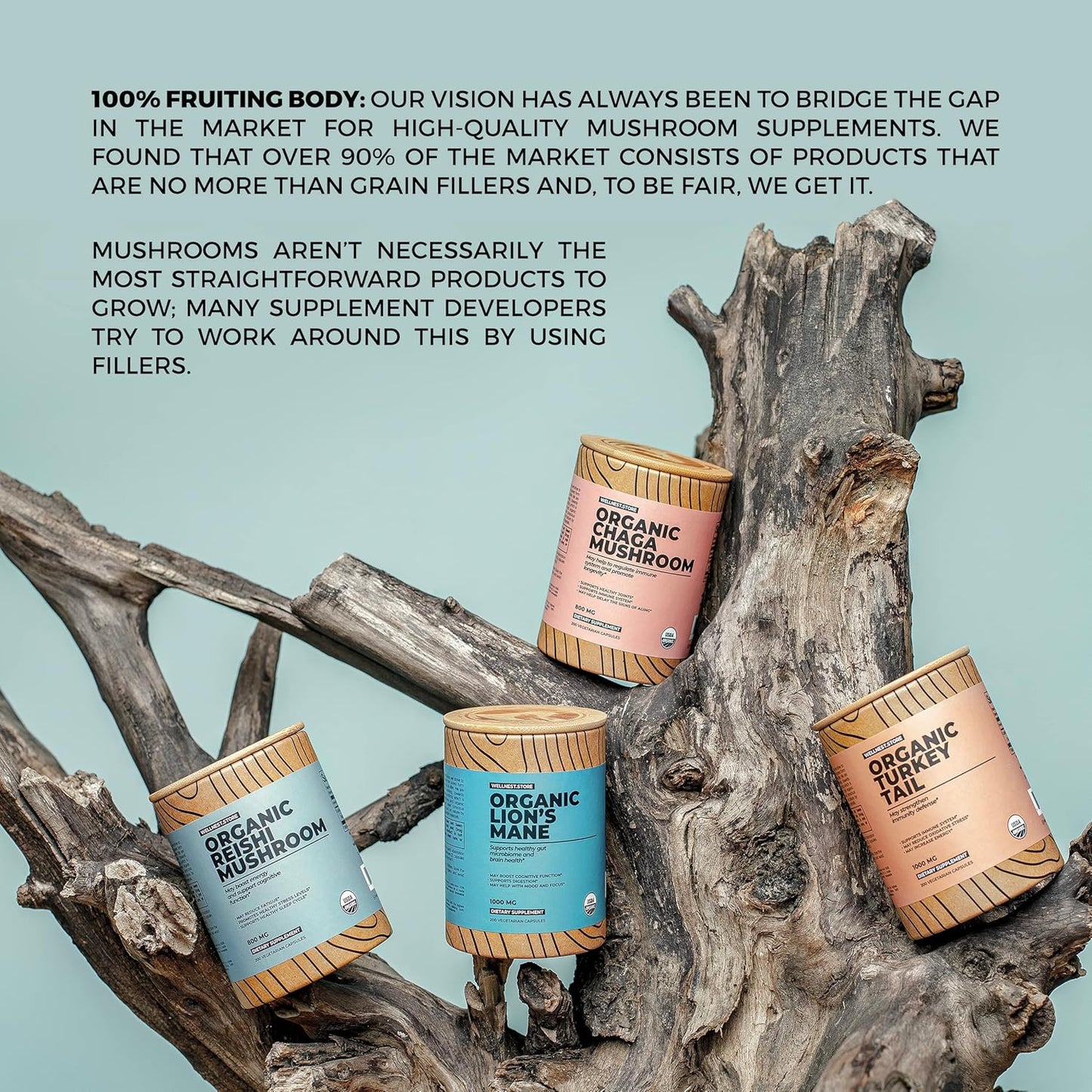 Organic Chaga Mushroom Supplement Capsules - 200 Veggie Caps, Anti-Inflammatory, Joint Support, Immune Boost, Cognitive Function, Antioxidant