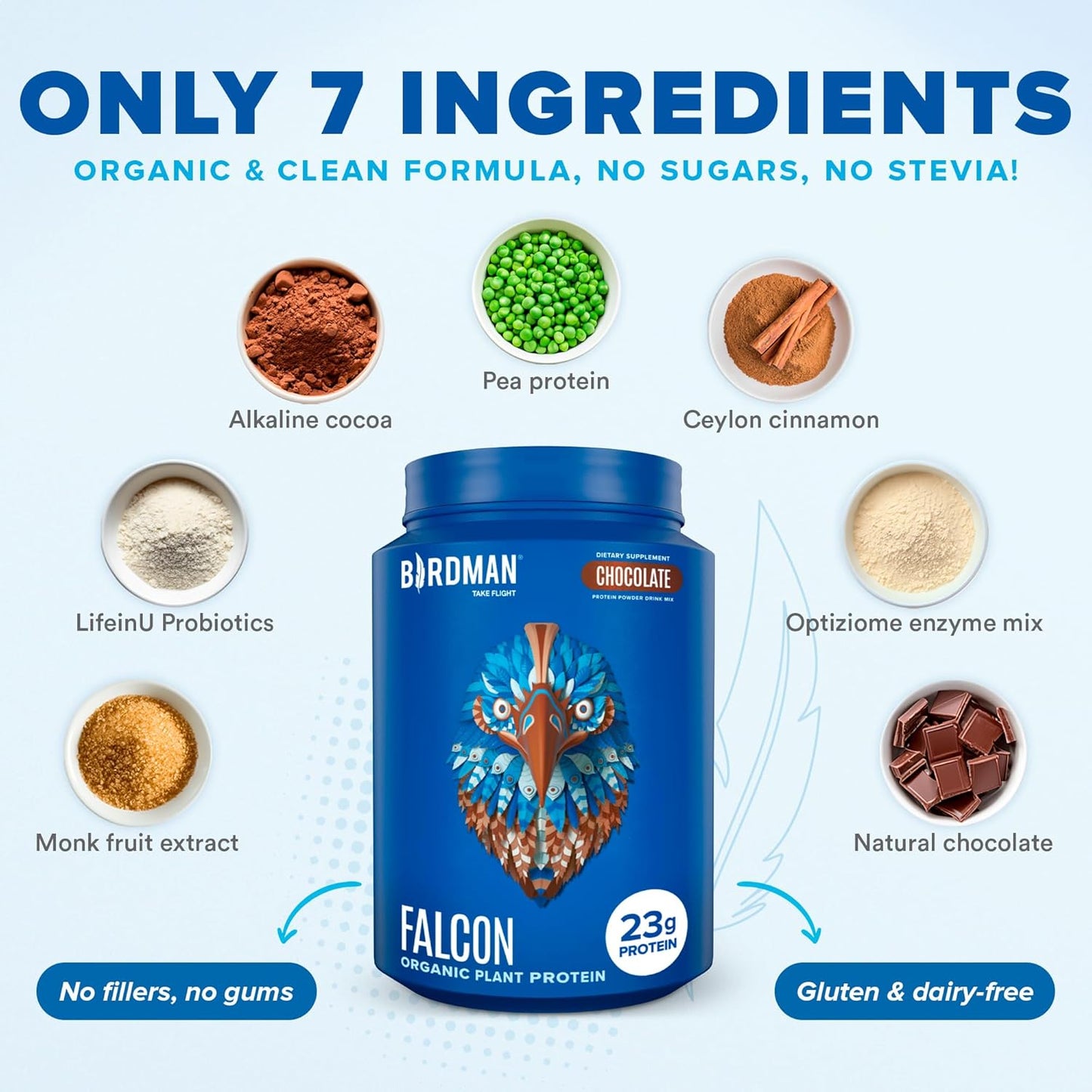 Organic Chocolate Falcon Vegan Protein Powder with Probiotics - Plant Based, Low Carb, Dairy Free, Keto Friendly - 40 Servings, 2.64lb