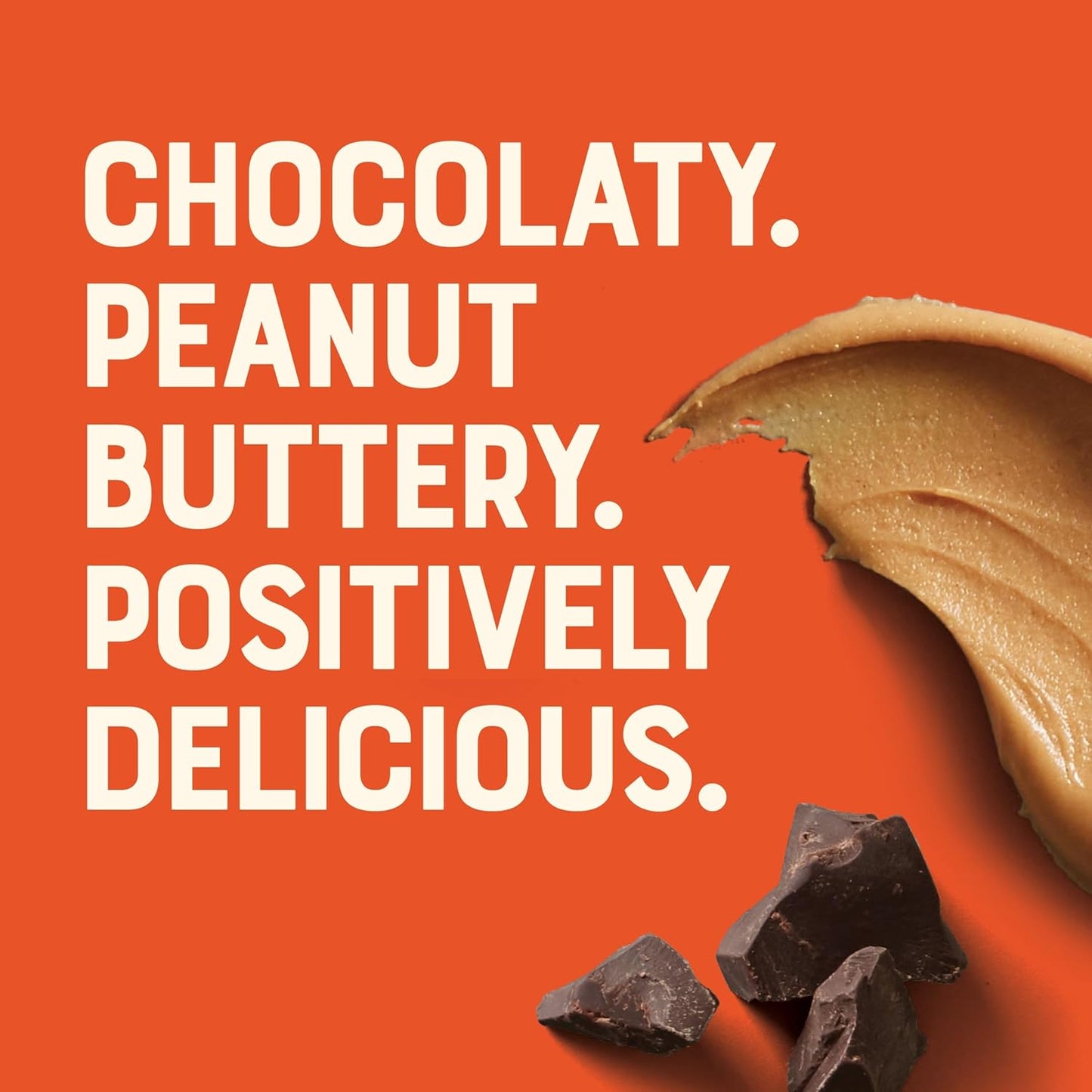 Organic Chocolate Peanut Butter Nut Butter Bars - Non-GMO Energy Bars - Plant-Based Snack - Low Glycemic (12 Pack)
